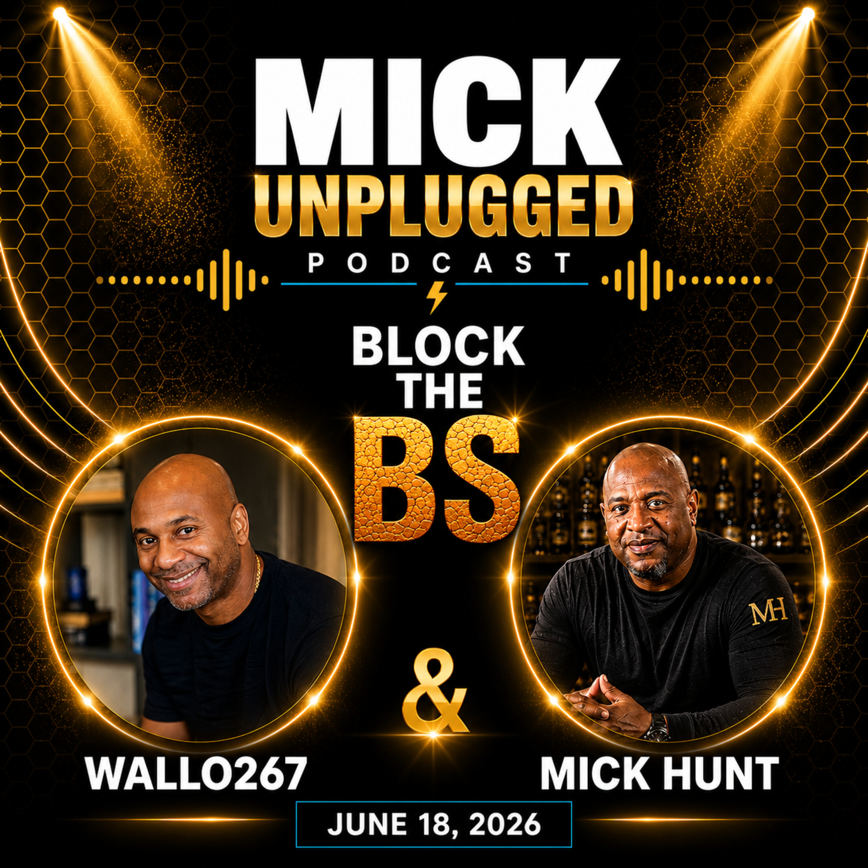 Mick Unplugged