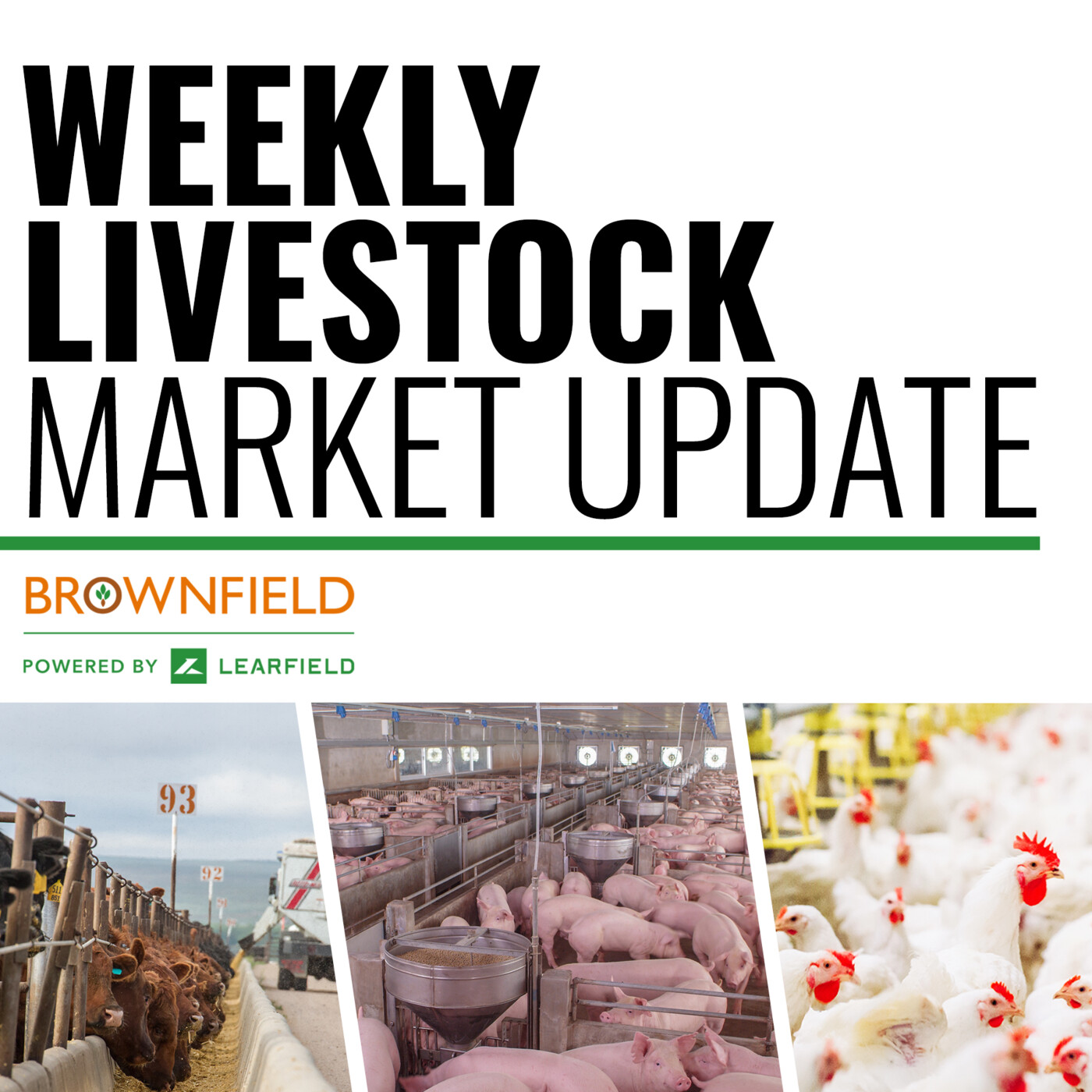 Brownfield's Weekly Livestock Market Update cover art