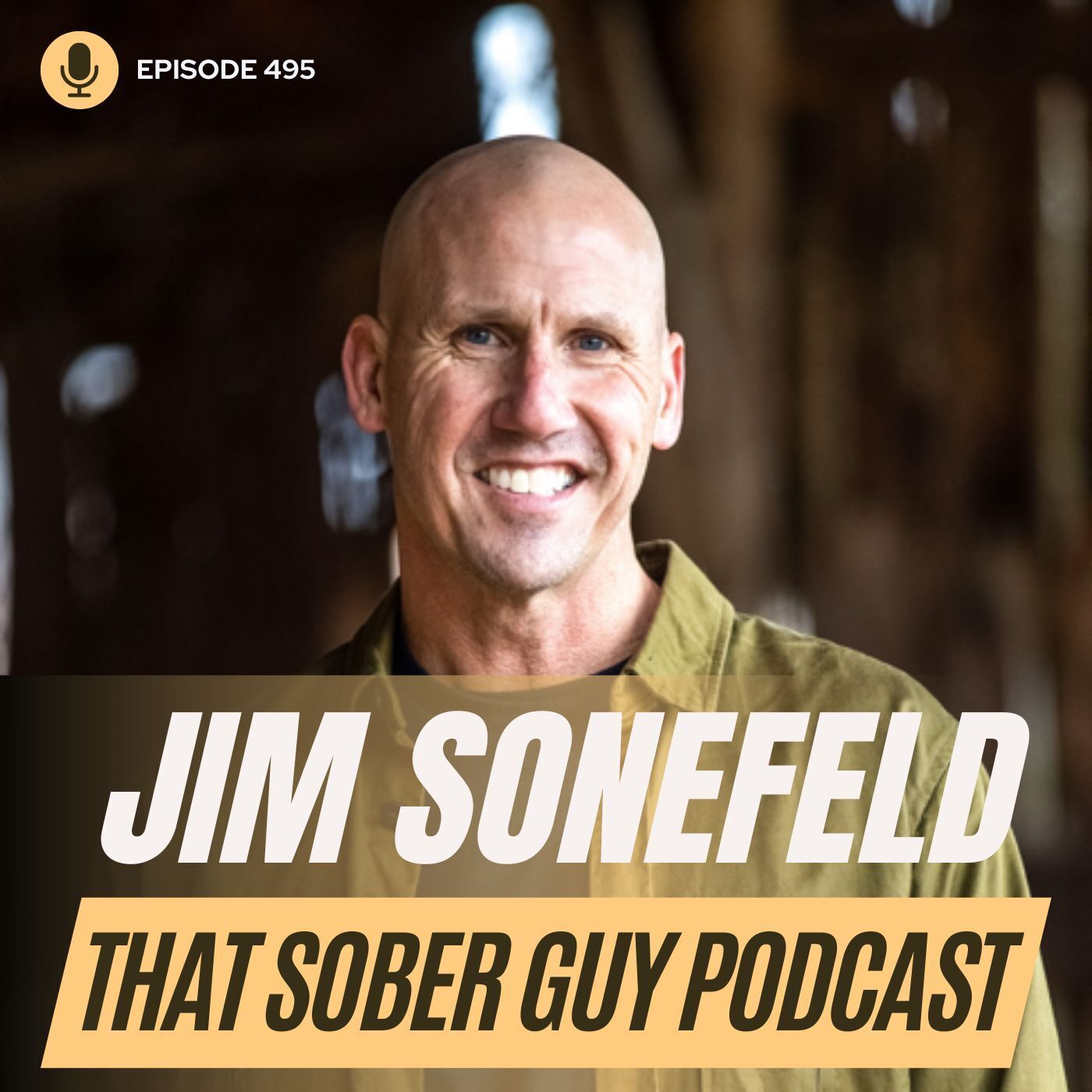 That Sober Guy Podcast