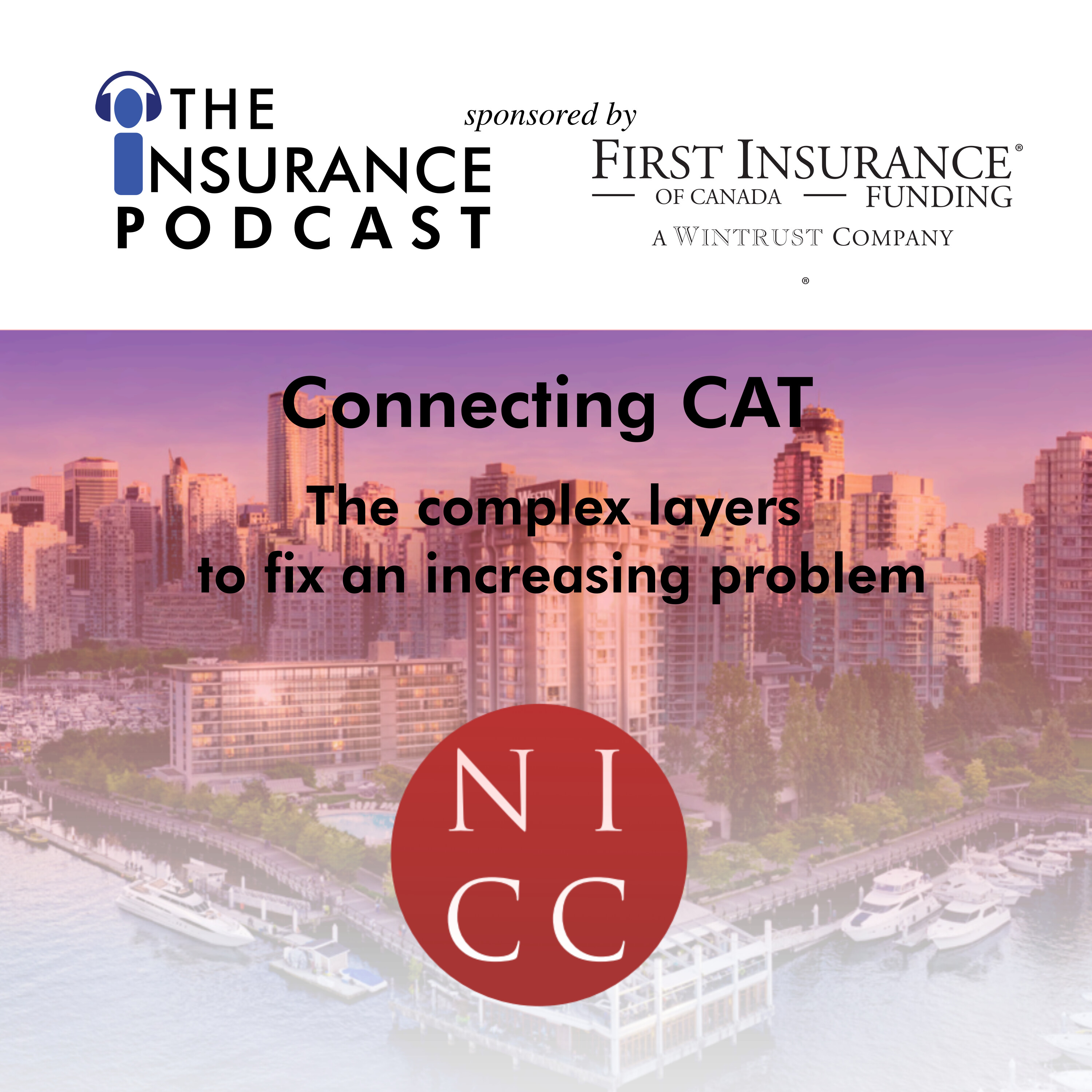 Connecting CAT:  Perspectives from leaders at NICC