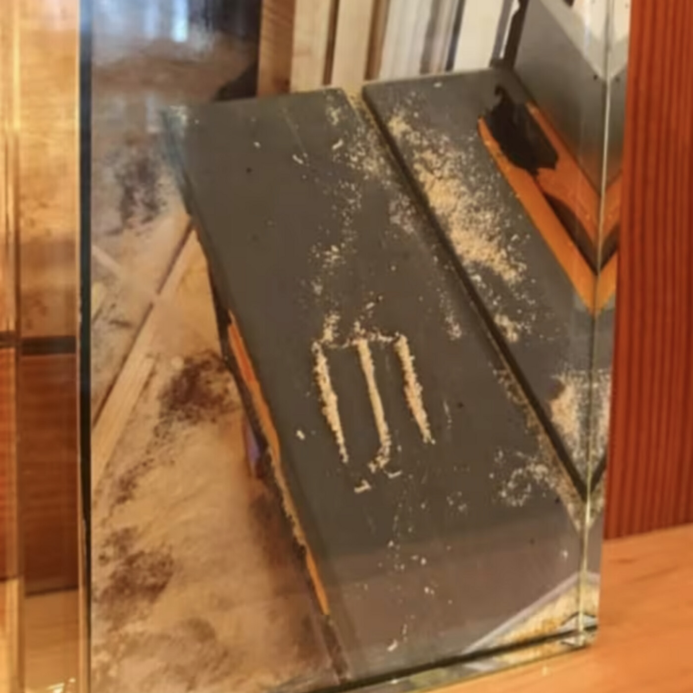 Ep 22 — Hunter Biden And The Lies They Wish Were True (Feat. Marcy Wheeler)