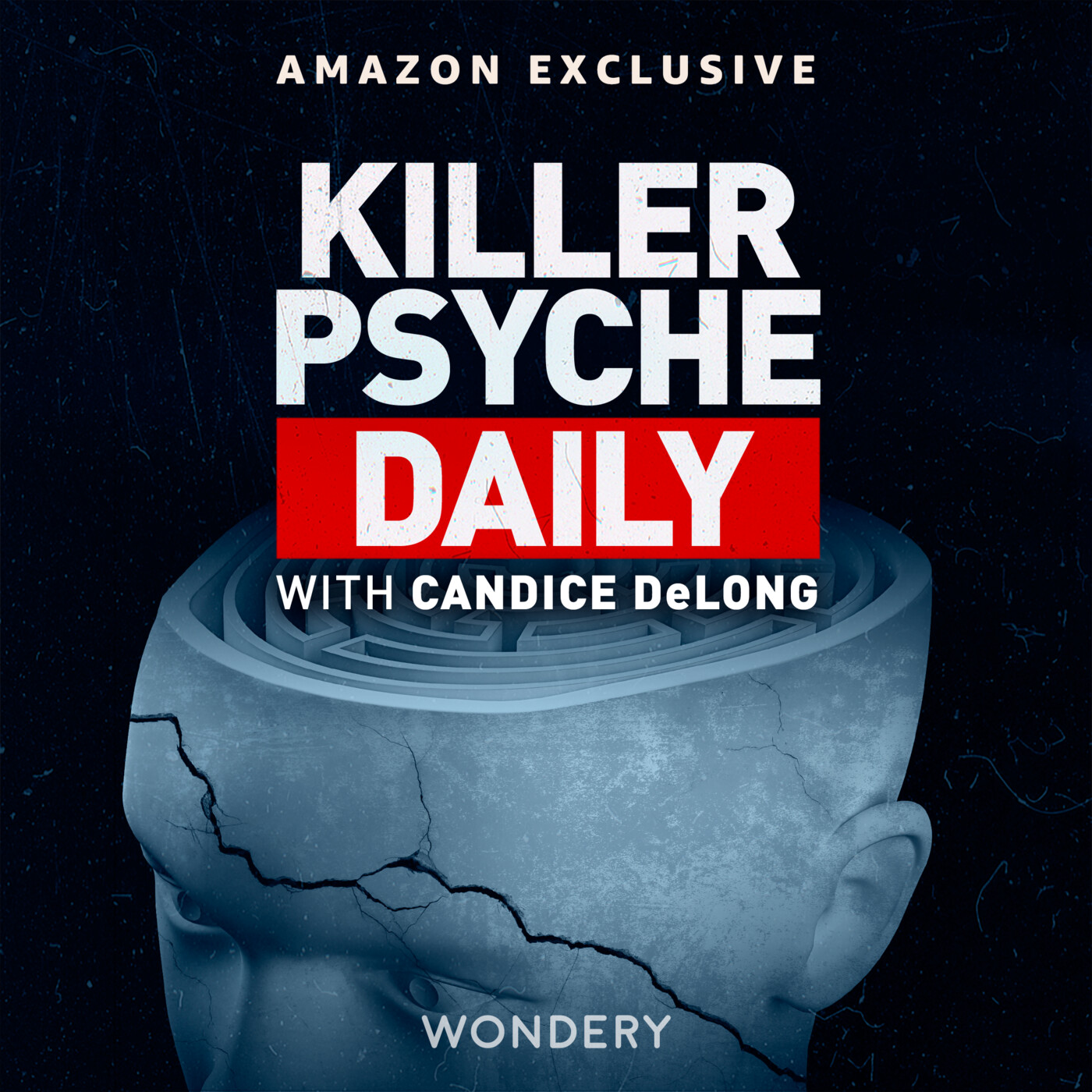 Killer Psyche Daily Solving the image