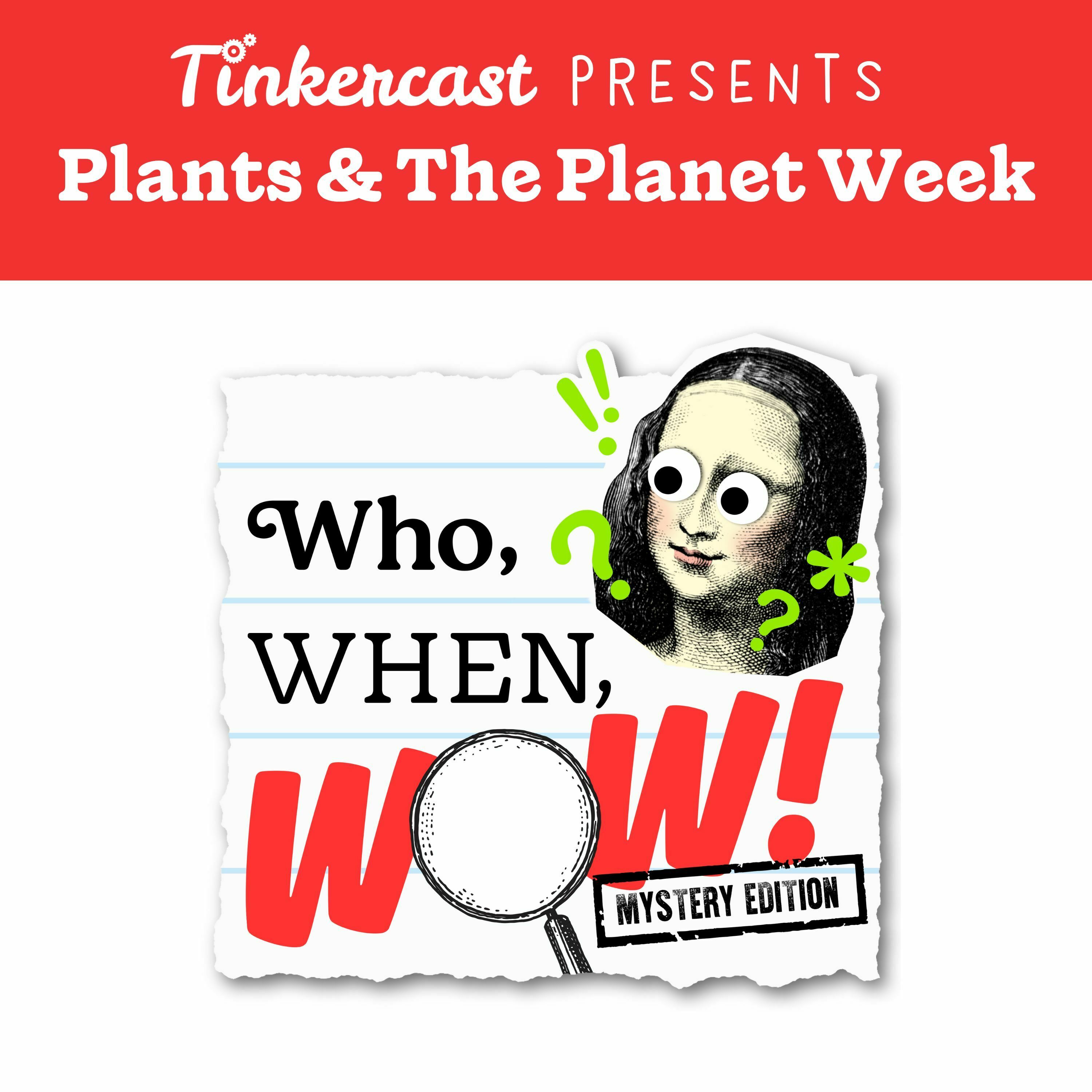 Who, When, Wow! – Crop Circles