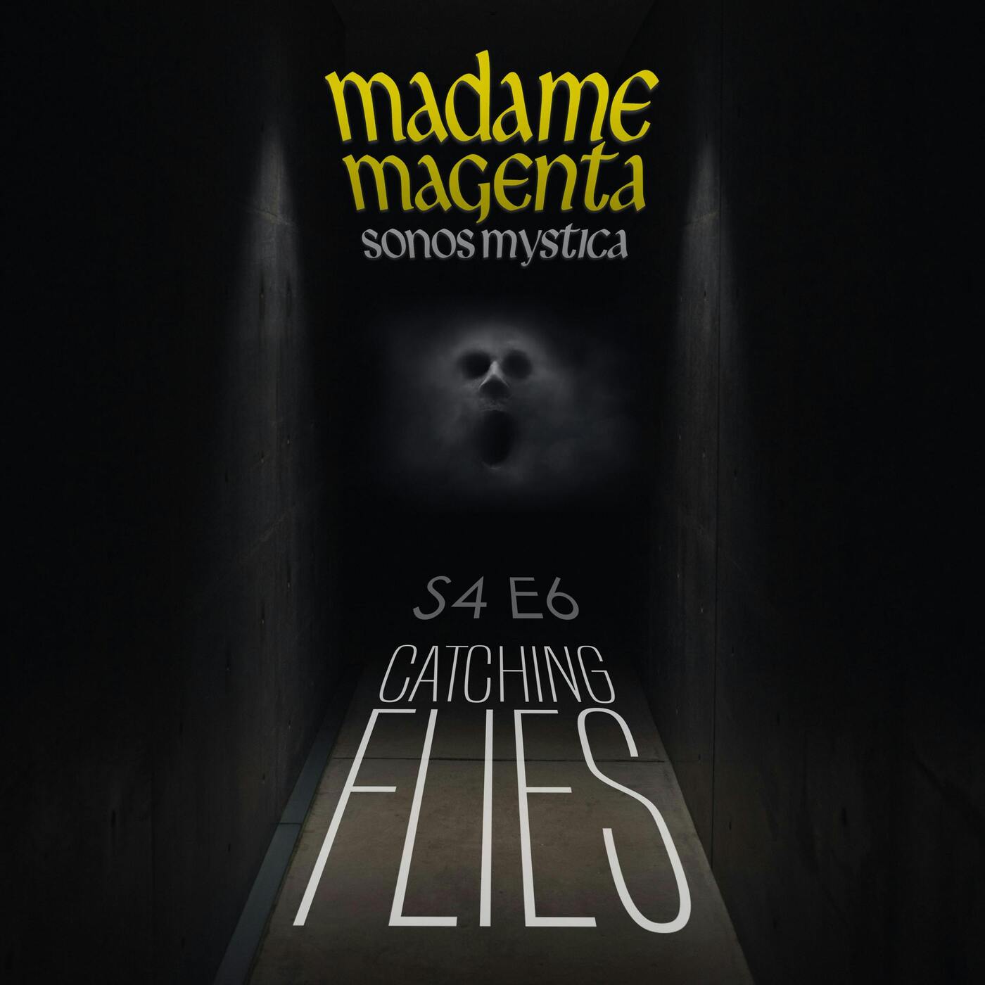 S4E6 - Catching Flies artwork