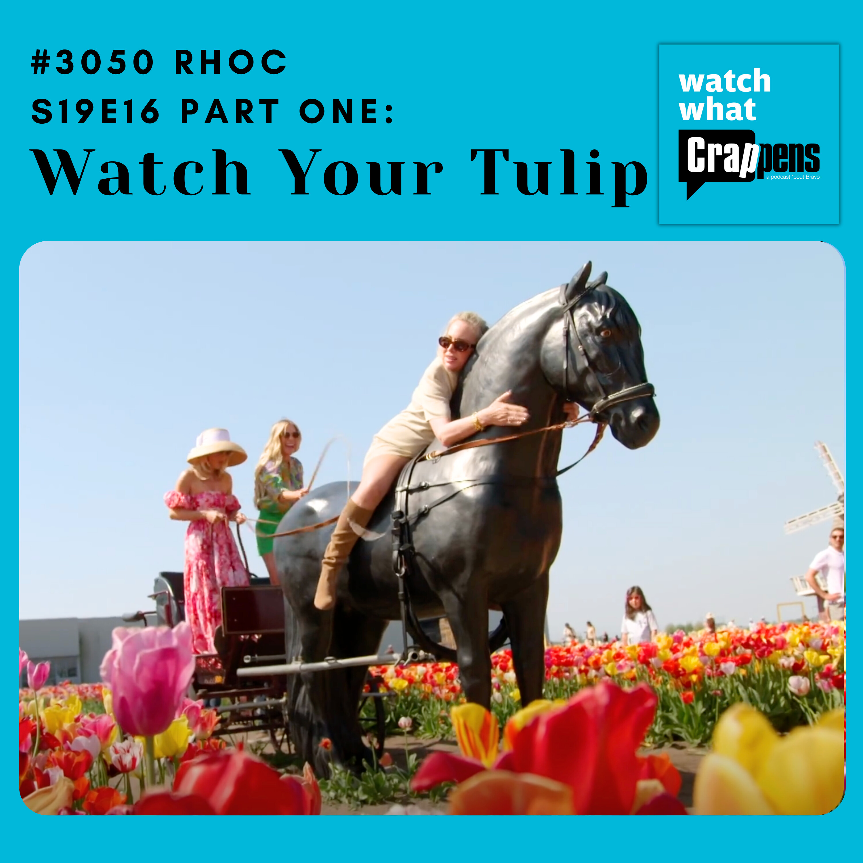 #3050 RHOC S19E16 Part One: Watch Your Tulip