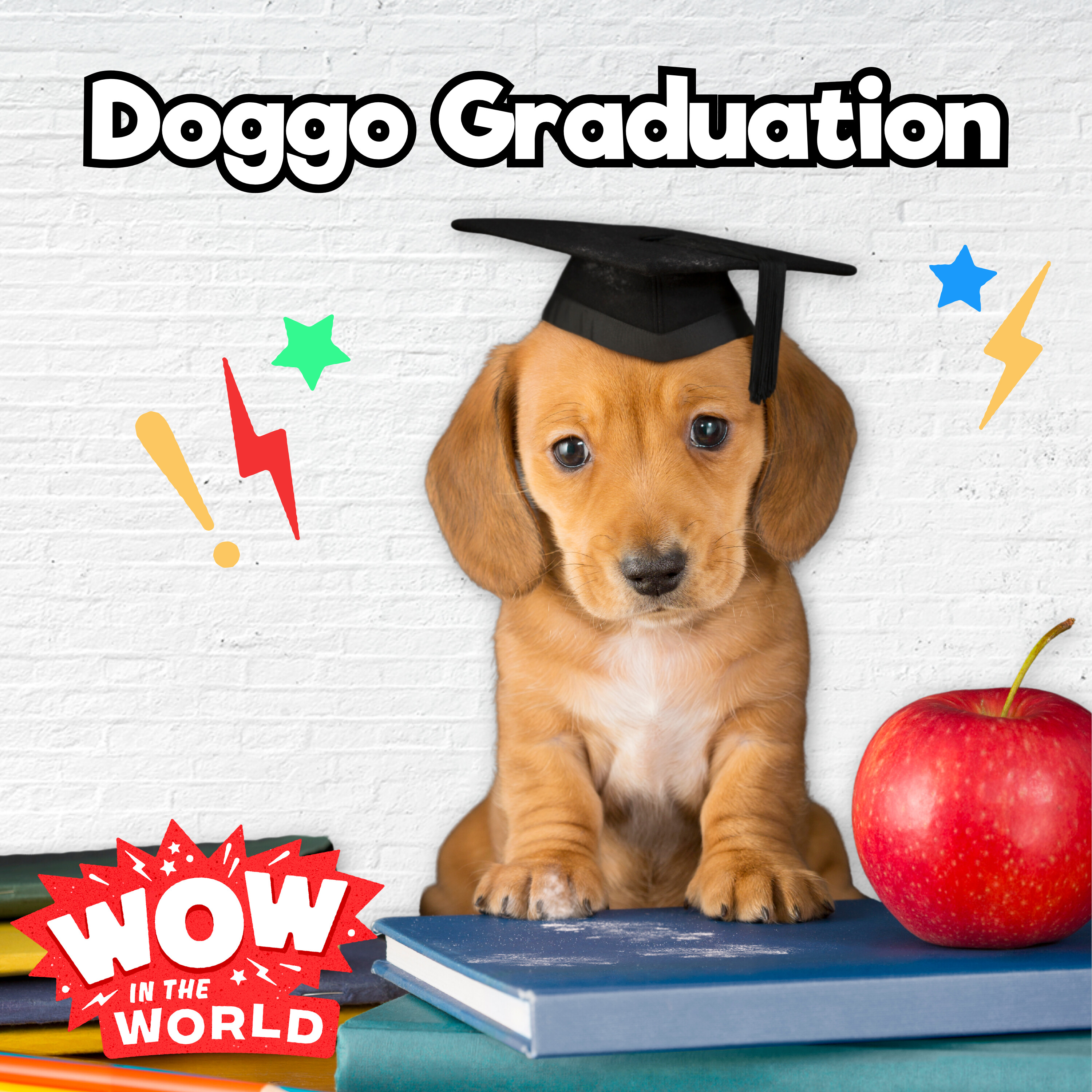 Doggo Graduation (8/5/24)