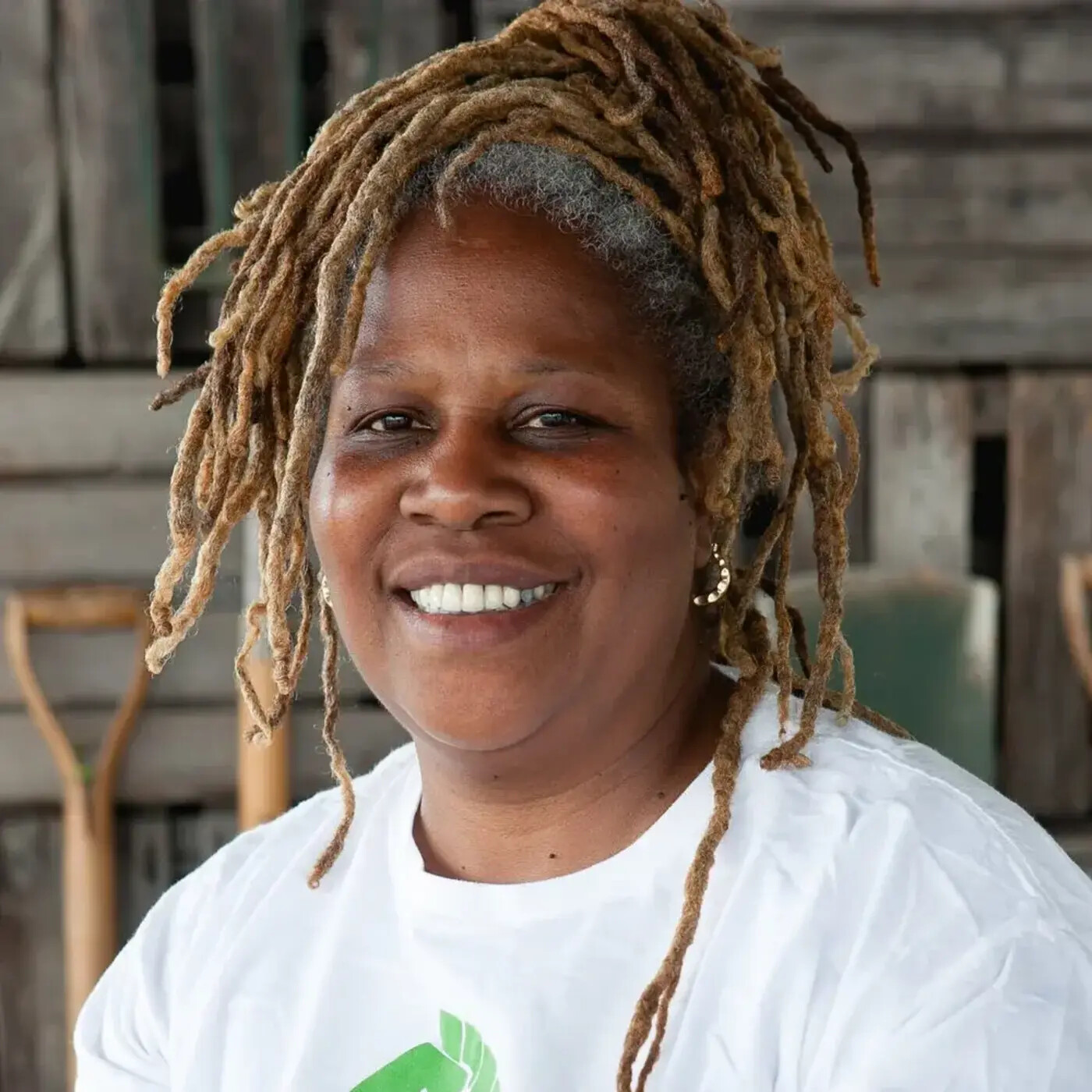 Episode 33: Karen Washington, on Farming, Food Justice and Community Organizing episode artwork