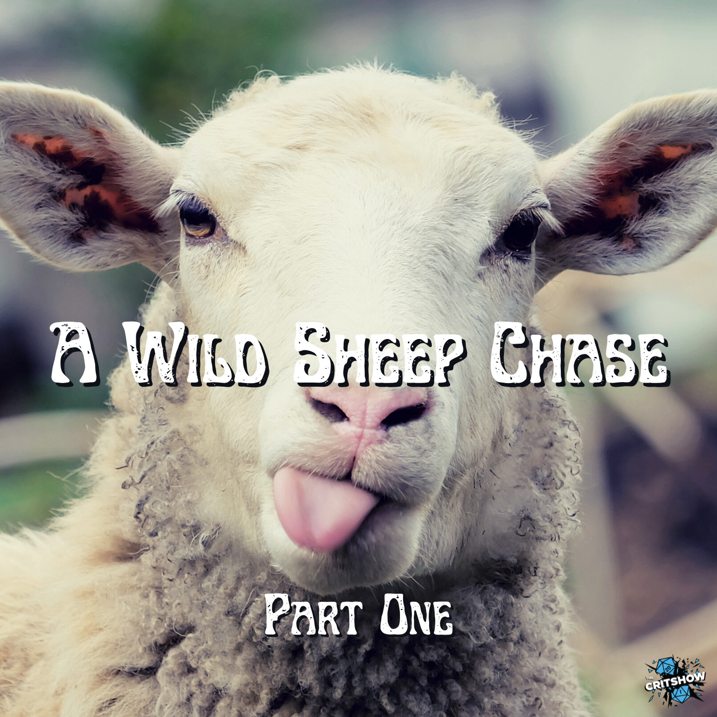 a wild sheep chase series