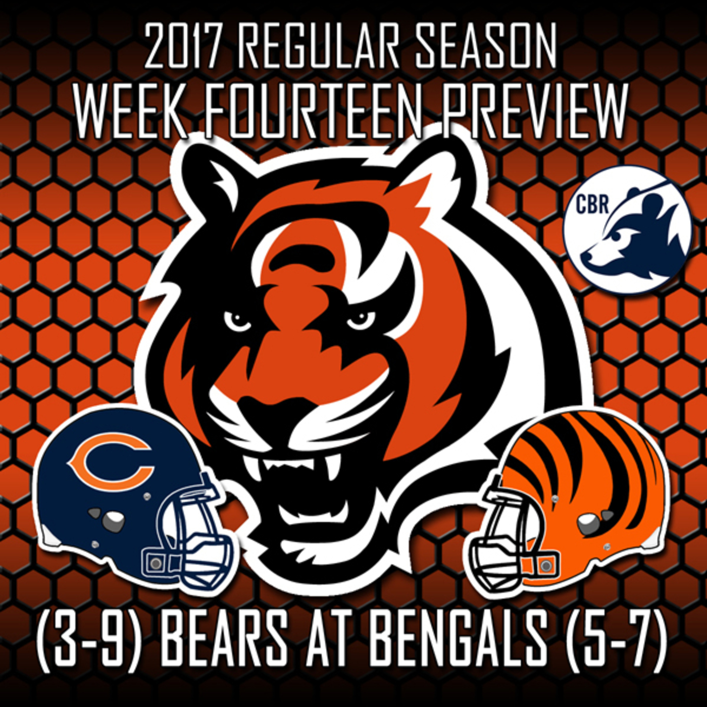 Bears Talk Underground