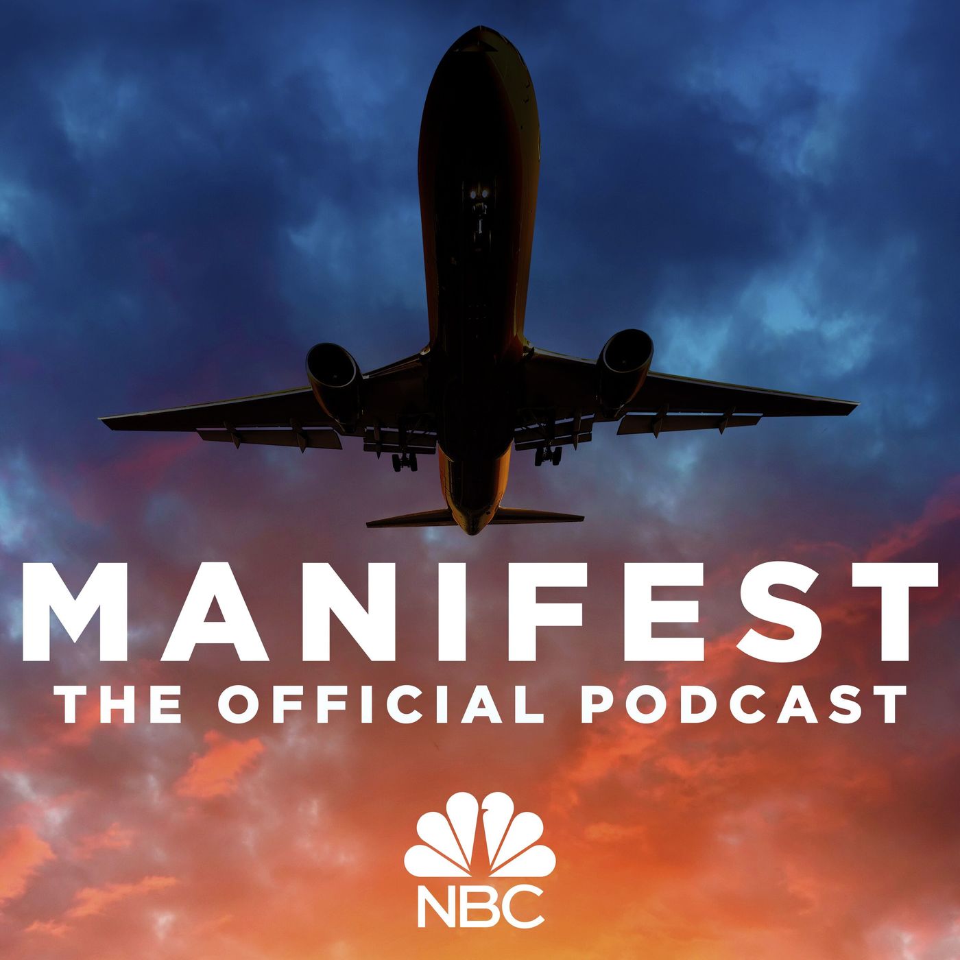 manifest what happened to the plane
