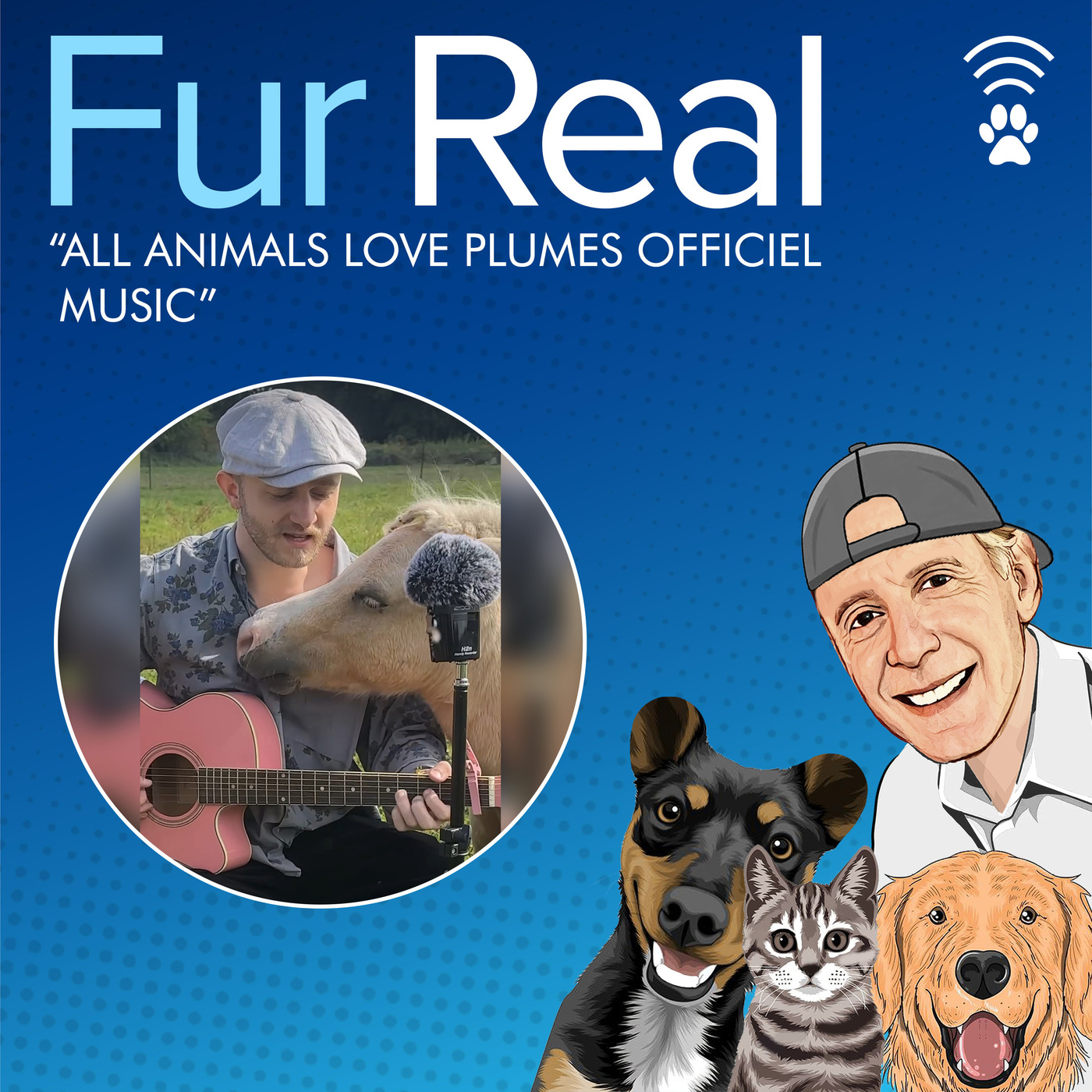 "ALL ANIMALS LOVE PLUMES OFFICIEL MUSIC"