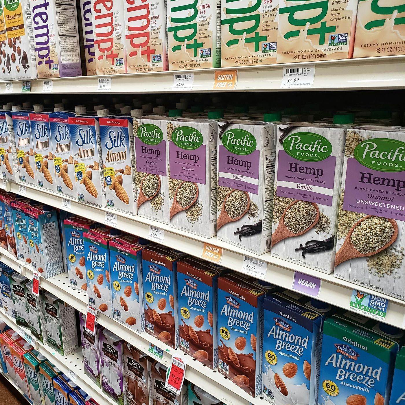 Living In The Alternative