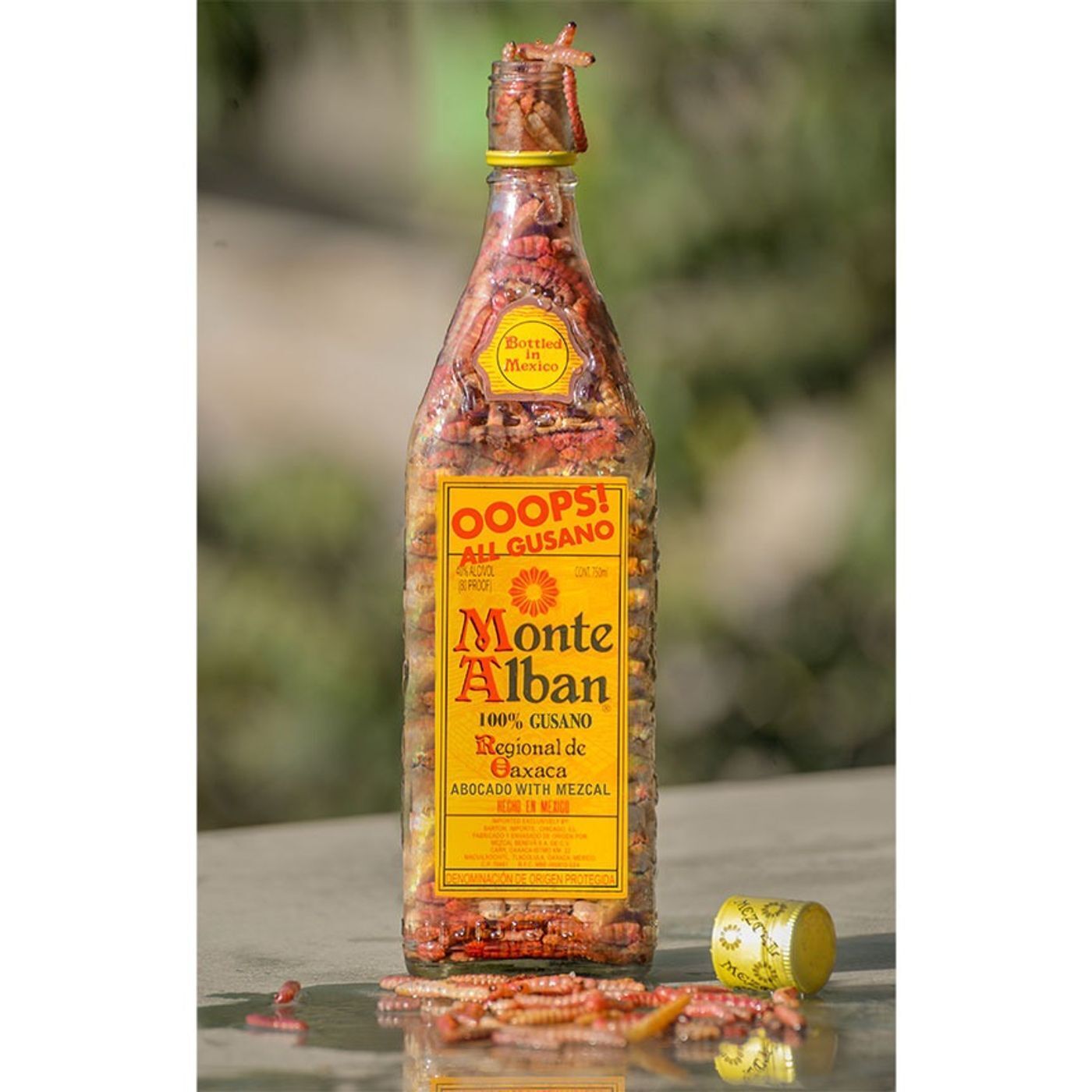 Agave Road Trip