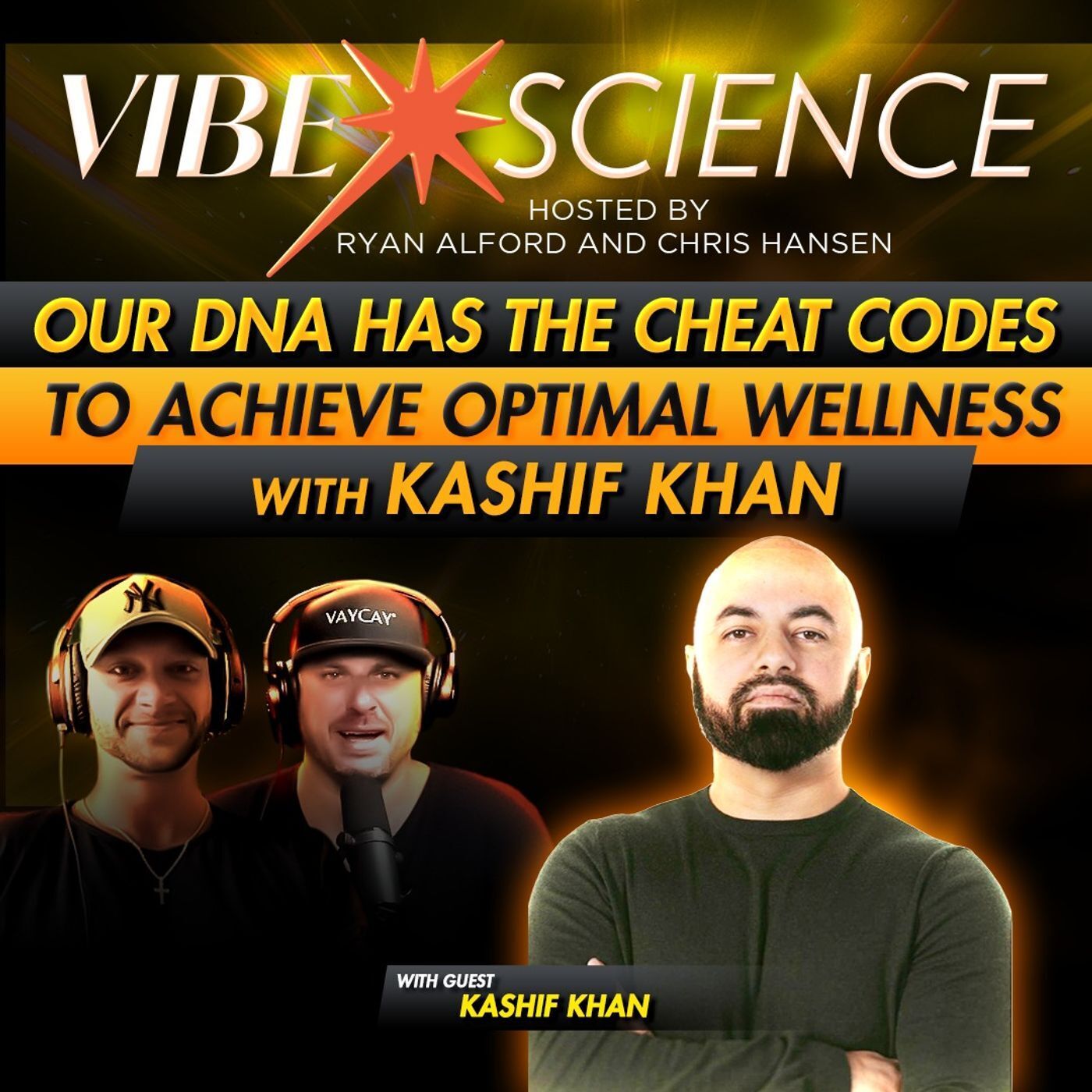 THE VIBE SCIENCE PODCAST