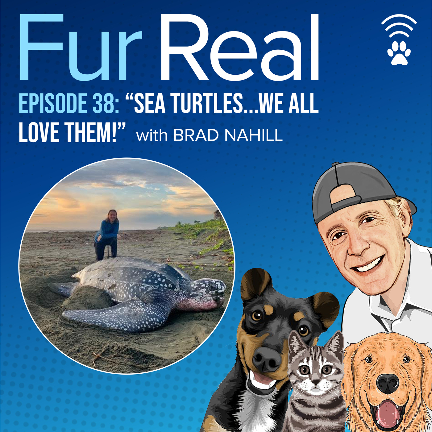 "SEA TURTLES..we all LOVE THEM!"  with Brad Nahill