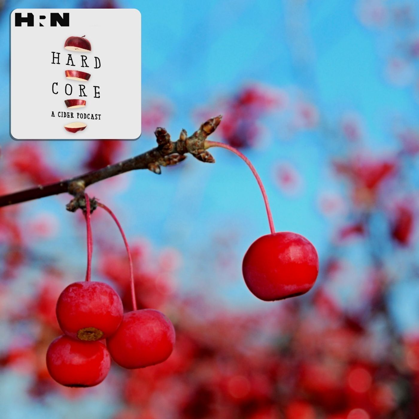 America’s First Apple(s)