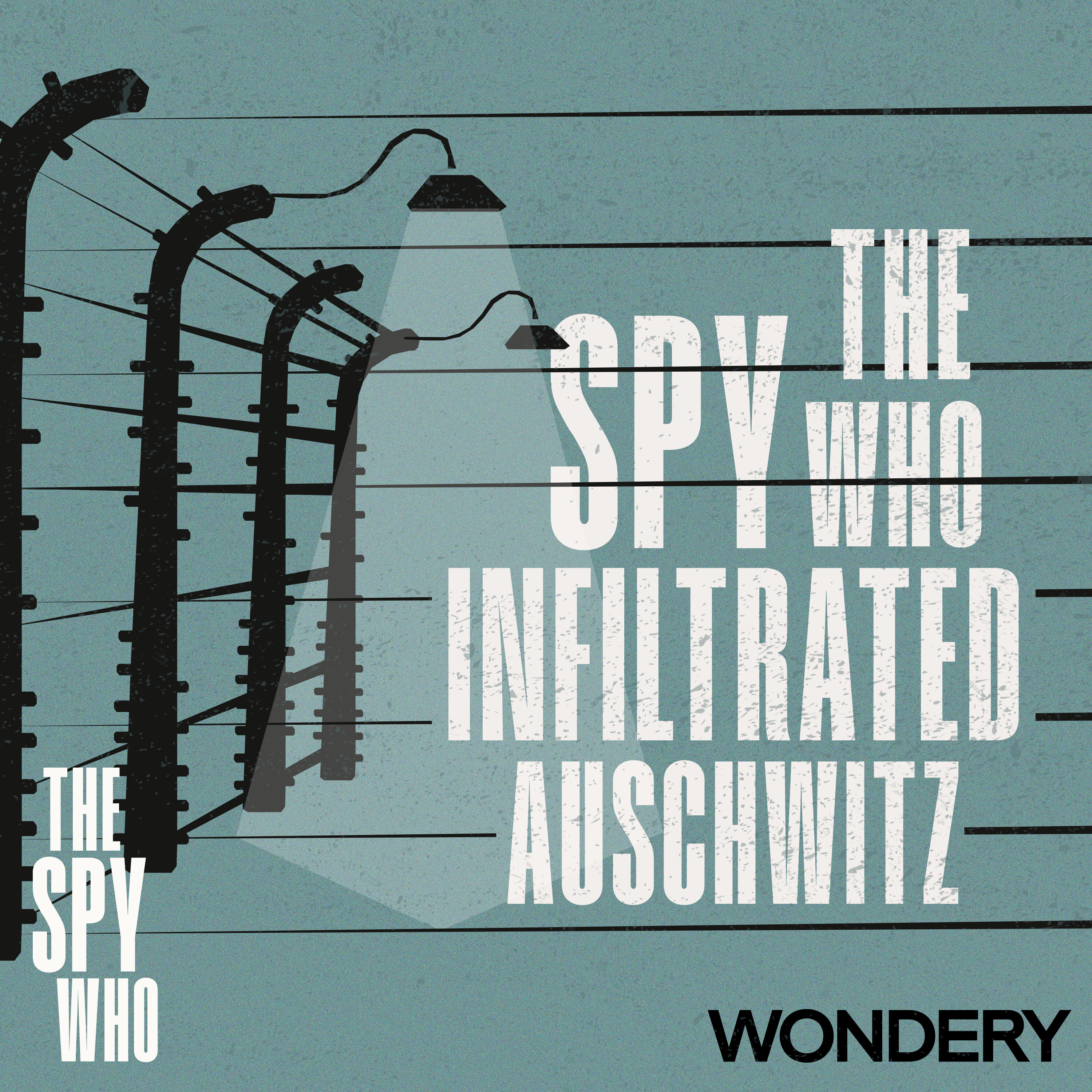 The Spy Who Infiltrated Auschwitz | The Message | 2