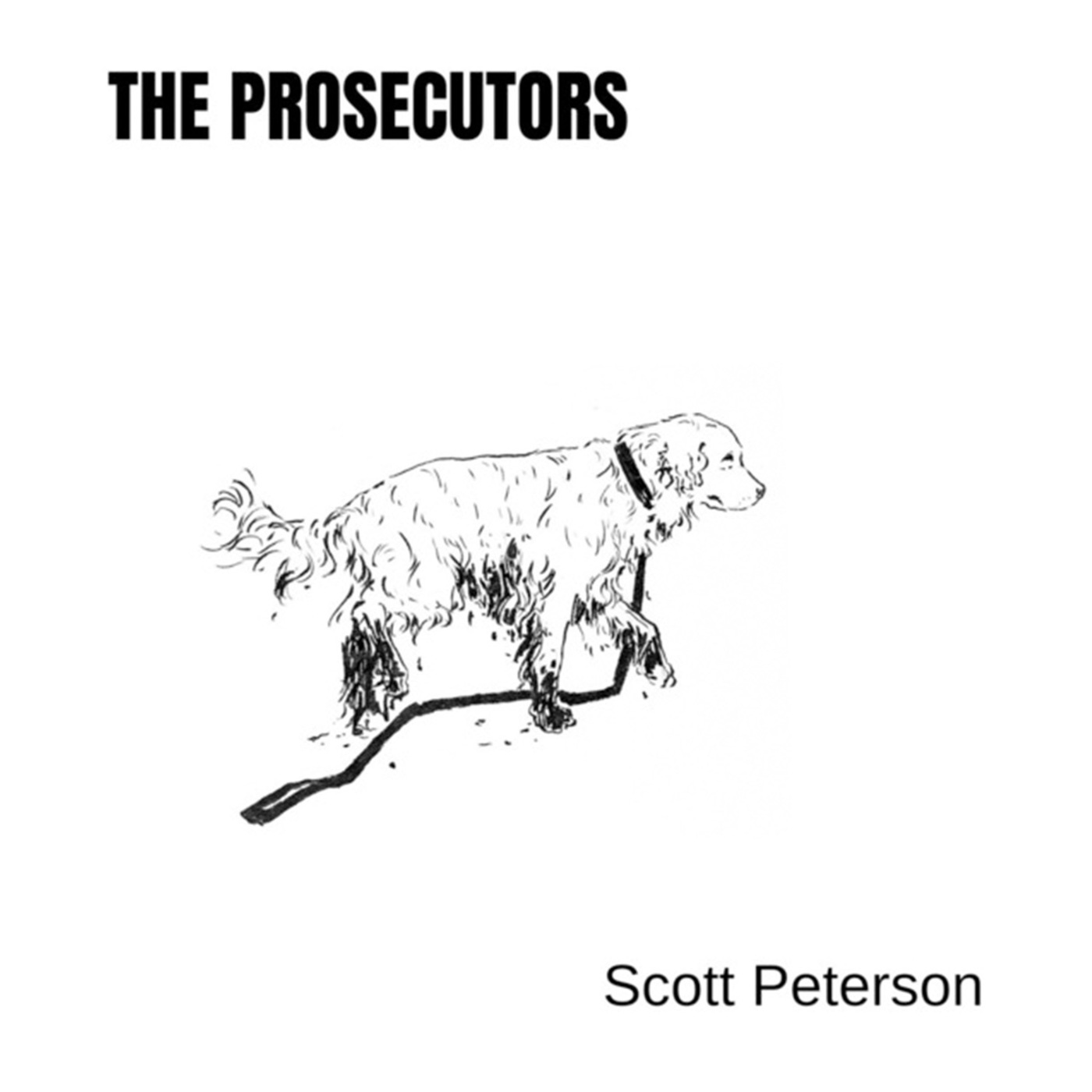 The Prosecutors - Case File Revisited: Scott Peterson 2