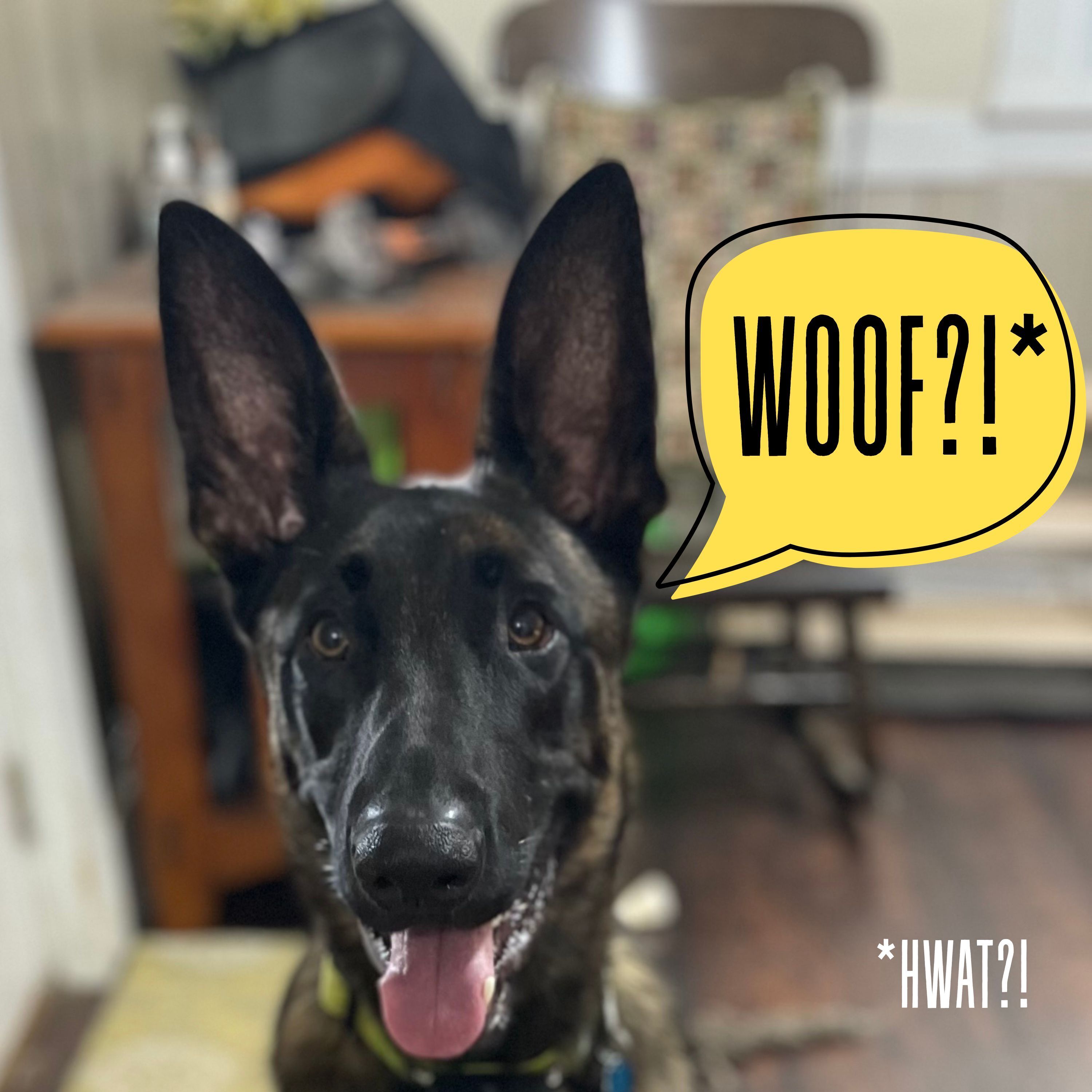 50: Finlay is Grounded