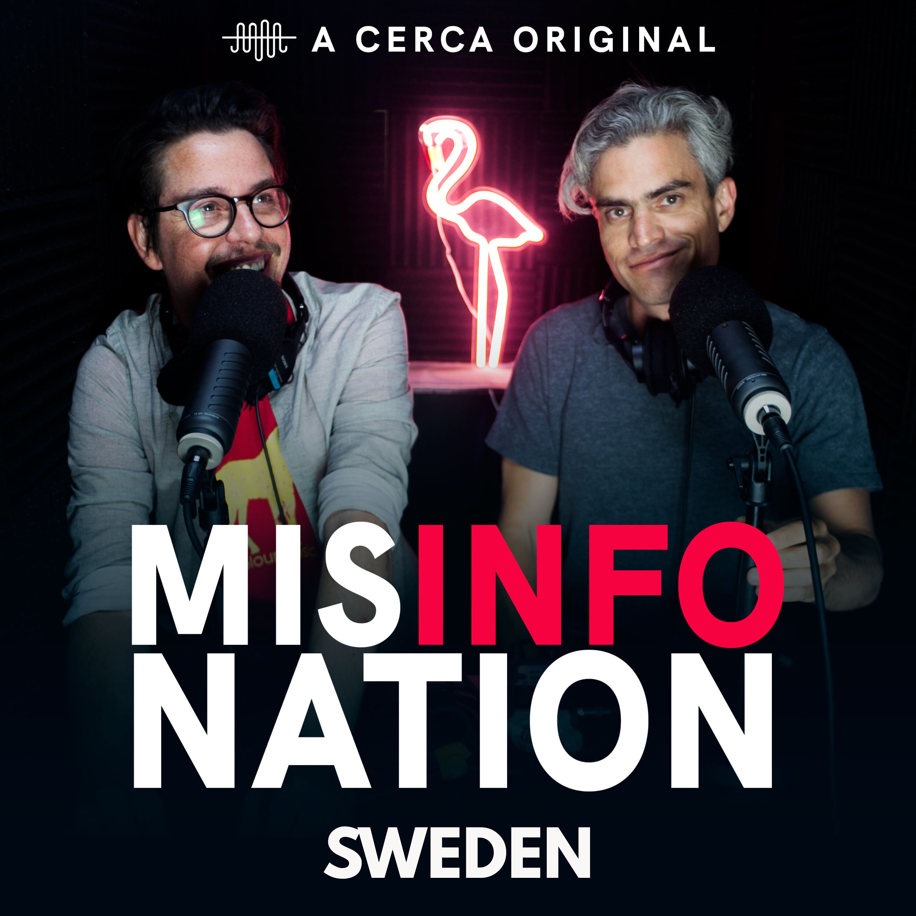 MisInfoNation - Sweden - Fika, Eurovision, and The Gentle Art of Death Cleaning episode artwork
