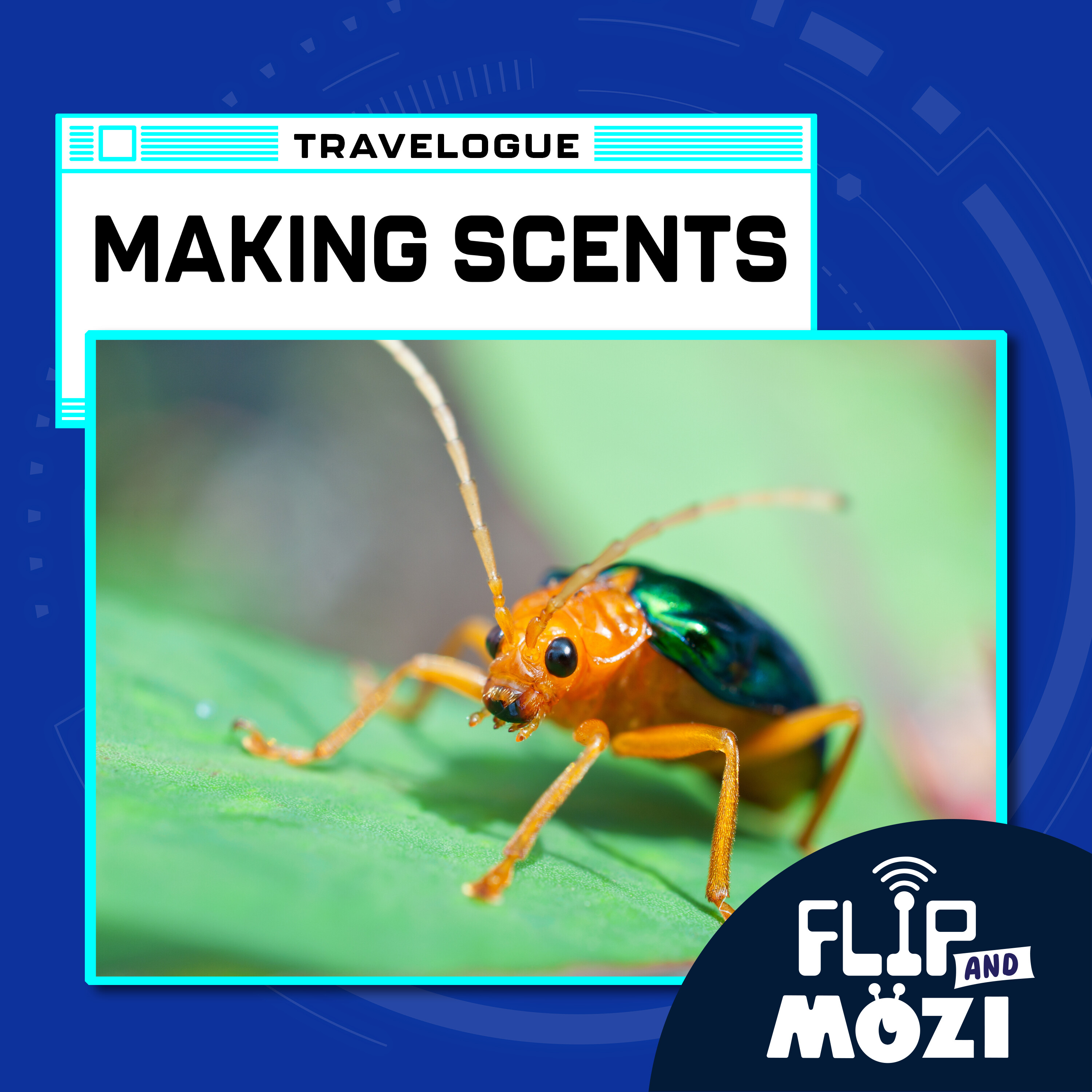 Travelpod: Making Scents