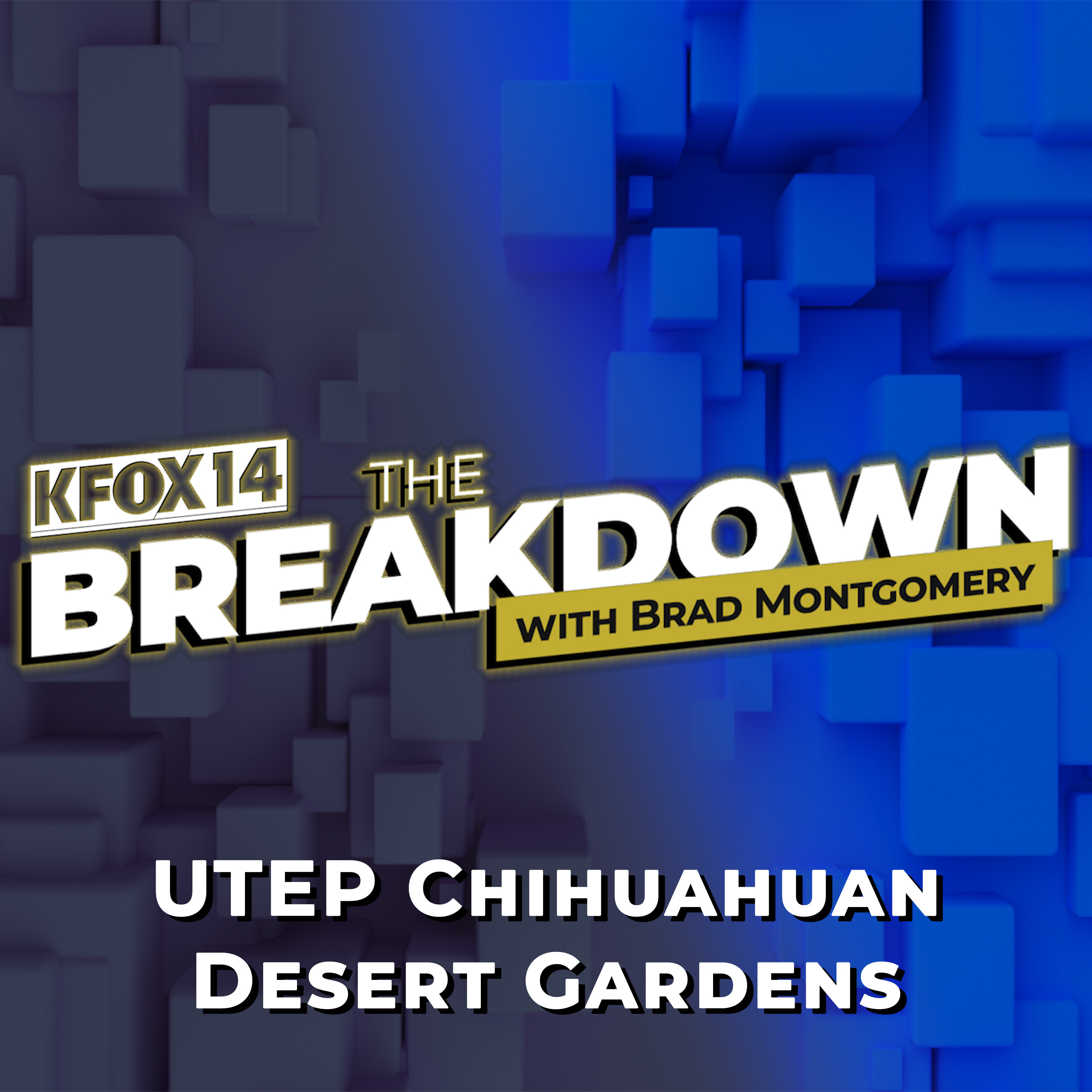 The Breakdown