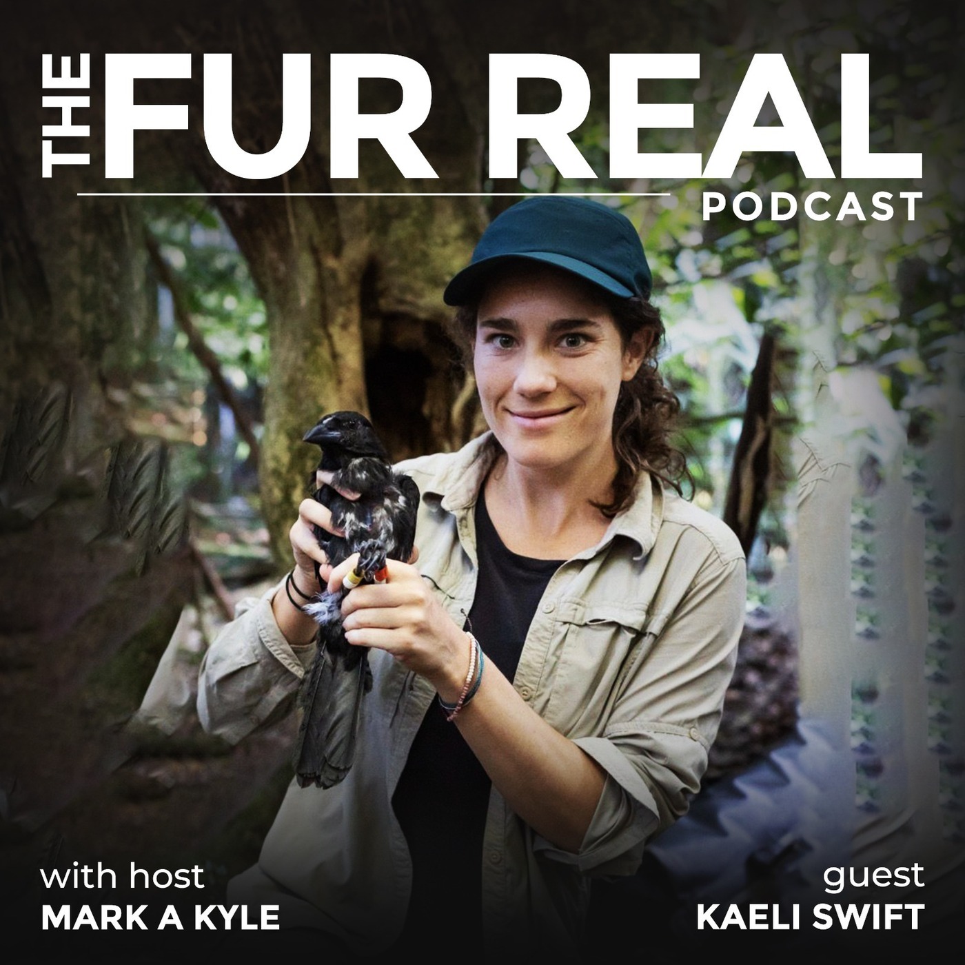 "CROWS REMEMBER, REASON AND REDEFINE INTELIGENCE" with Kaeli Swift