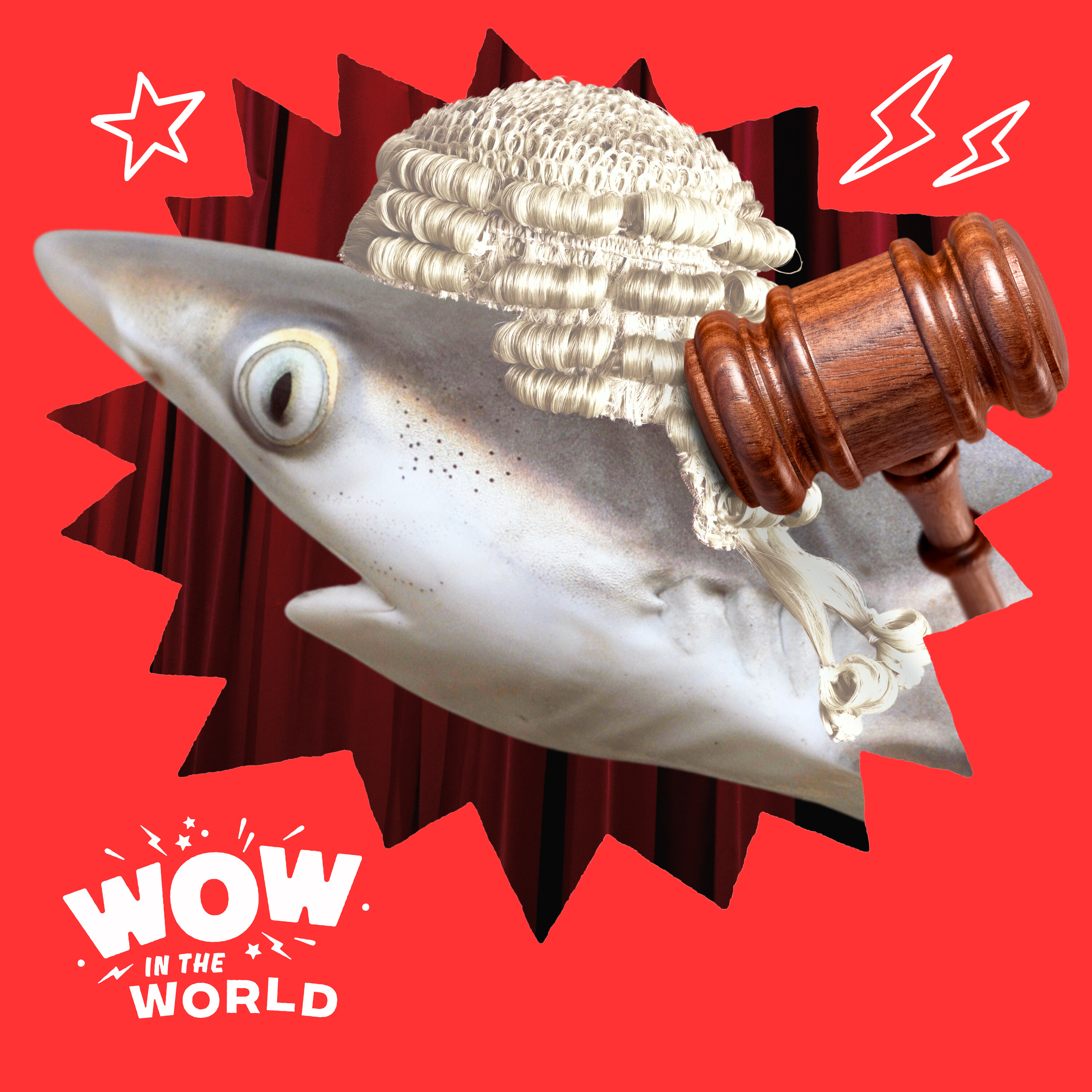 Baby Shark Case: Did Scientists Finally Find the First Baby Great White Shark?