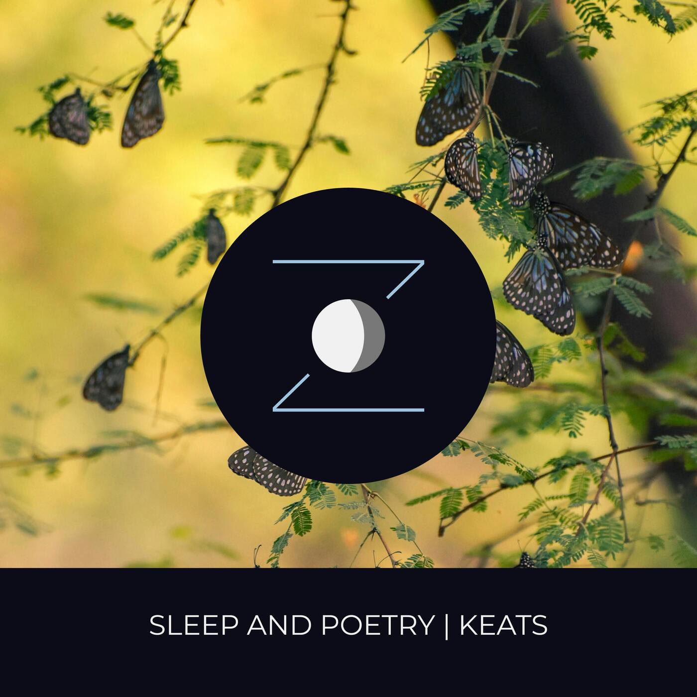 Sleep and Poetry | Keats episode artwork
