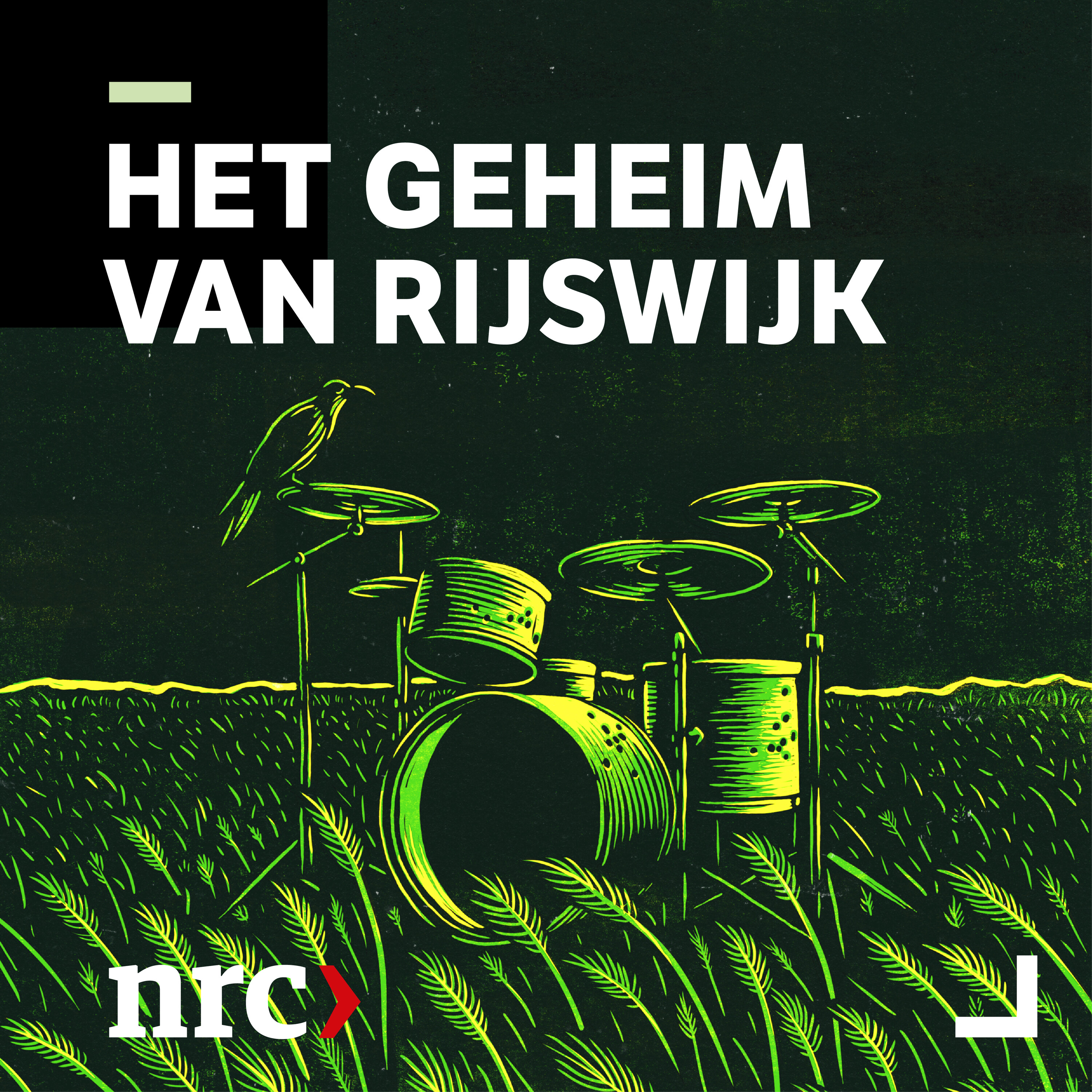 NRC Het geheim van Rijswijk logo