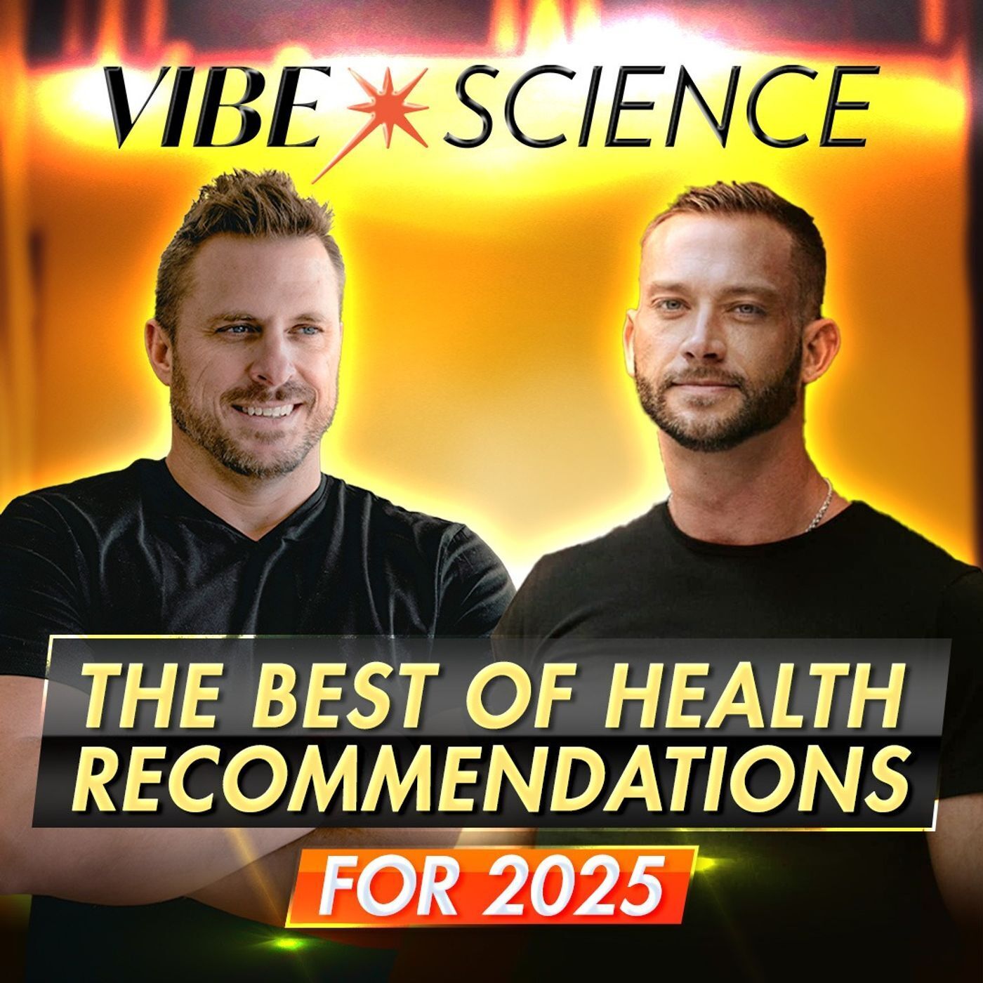 THE VIBE SCIENCE PODCAST