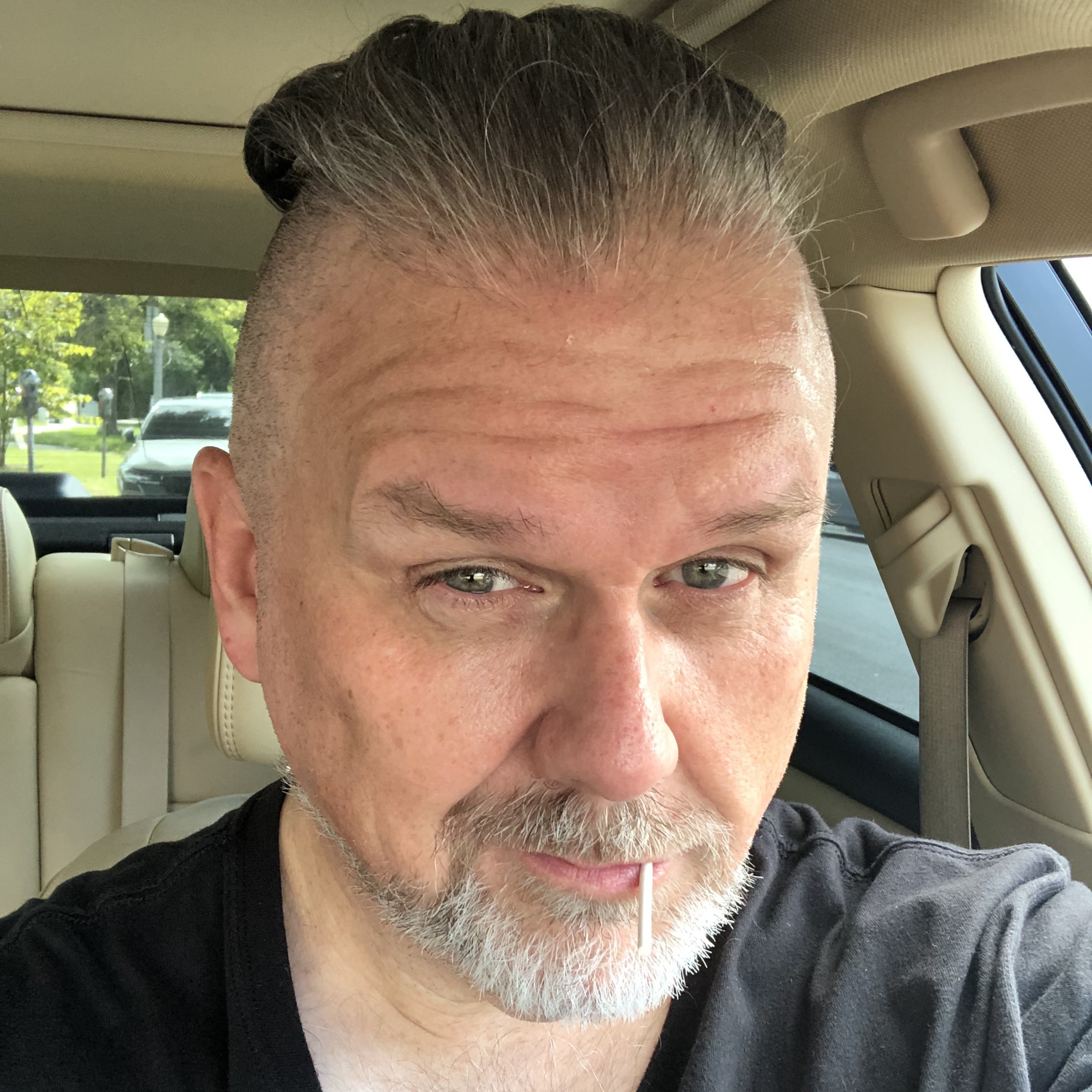 Episode Twelve, Year Fourteen artwork