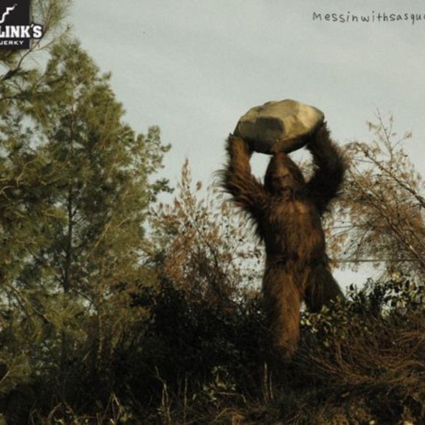 download the last version for windows Bigfoot Monster - Yeti Hunter