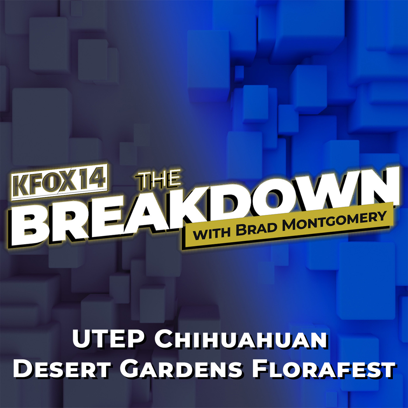 The Breakdown