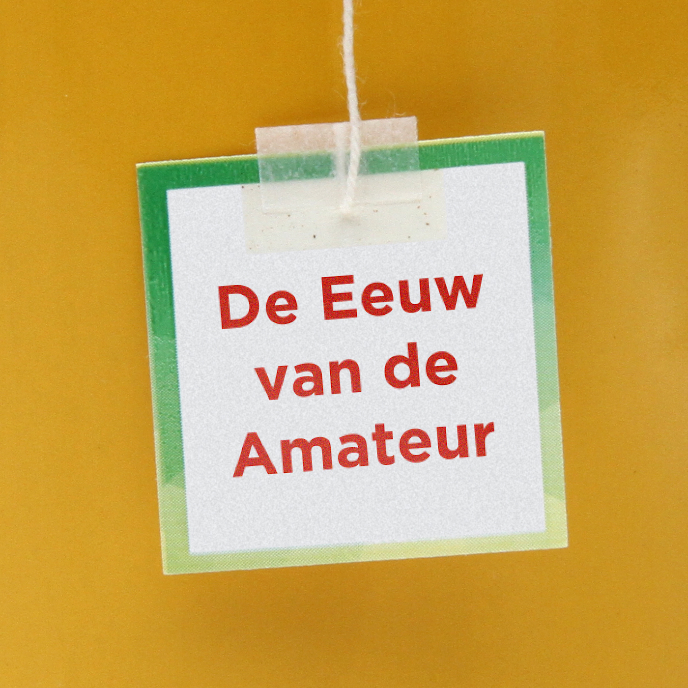 Eeuw van de Amateur