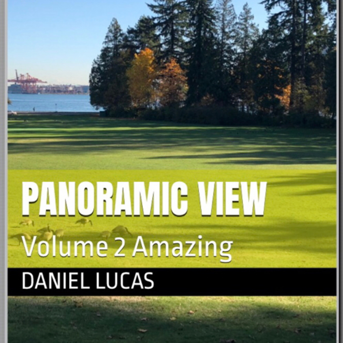 Panoramic View Volume 2 Amazing by Daniel Lucas