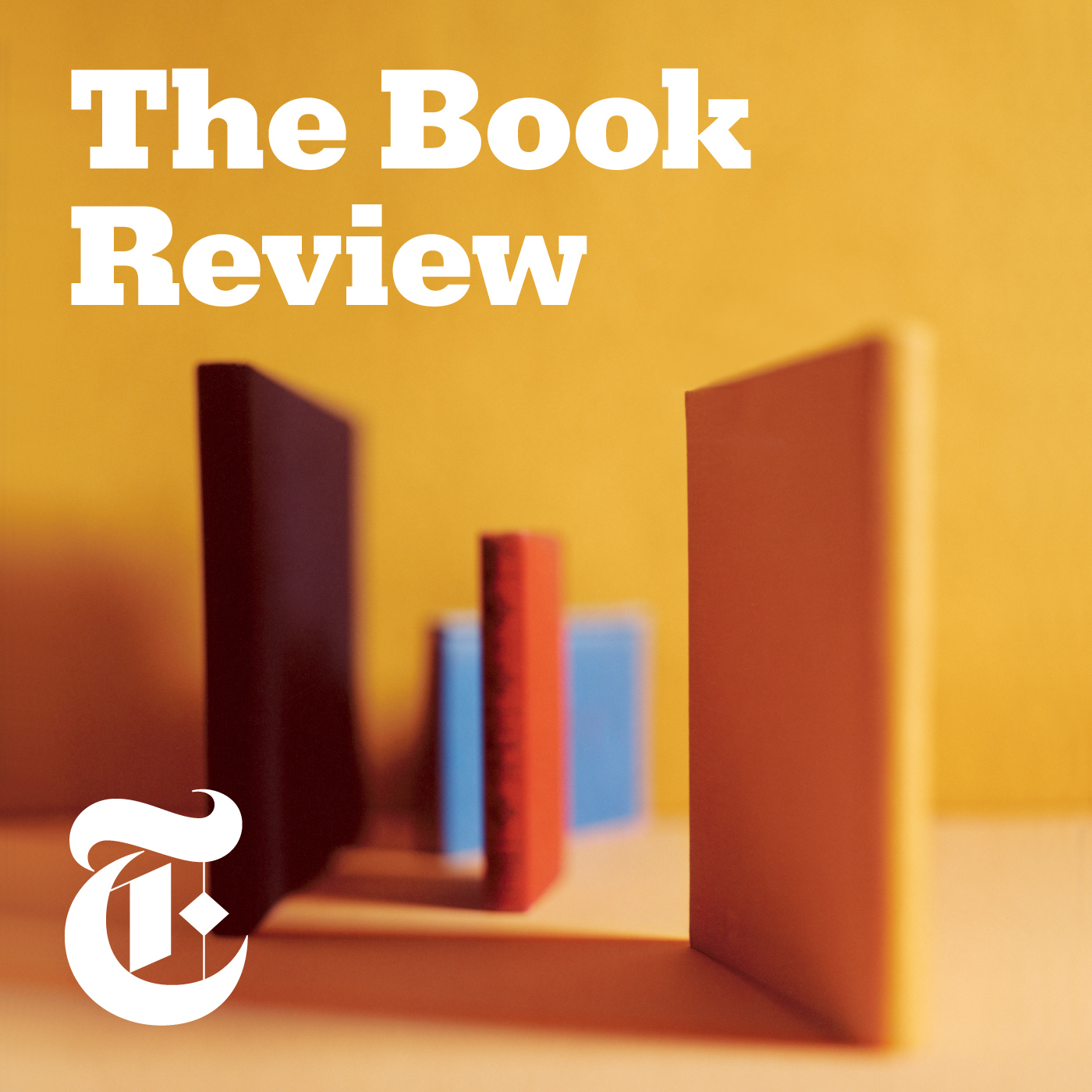 the library book review new york times