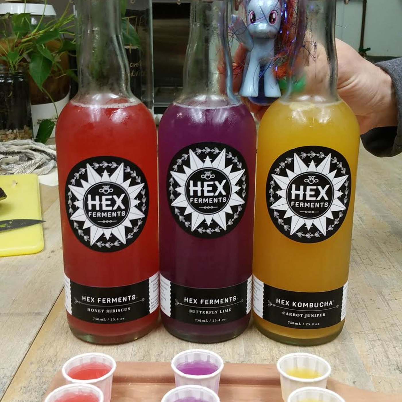 Episode 205: The Spell of Charm City with Meaghan & Shane Carpenter of Hex Ferments