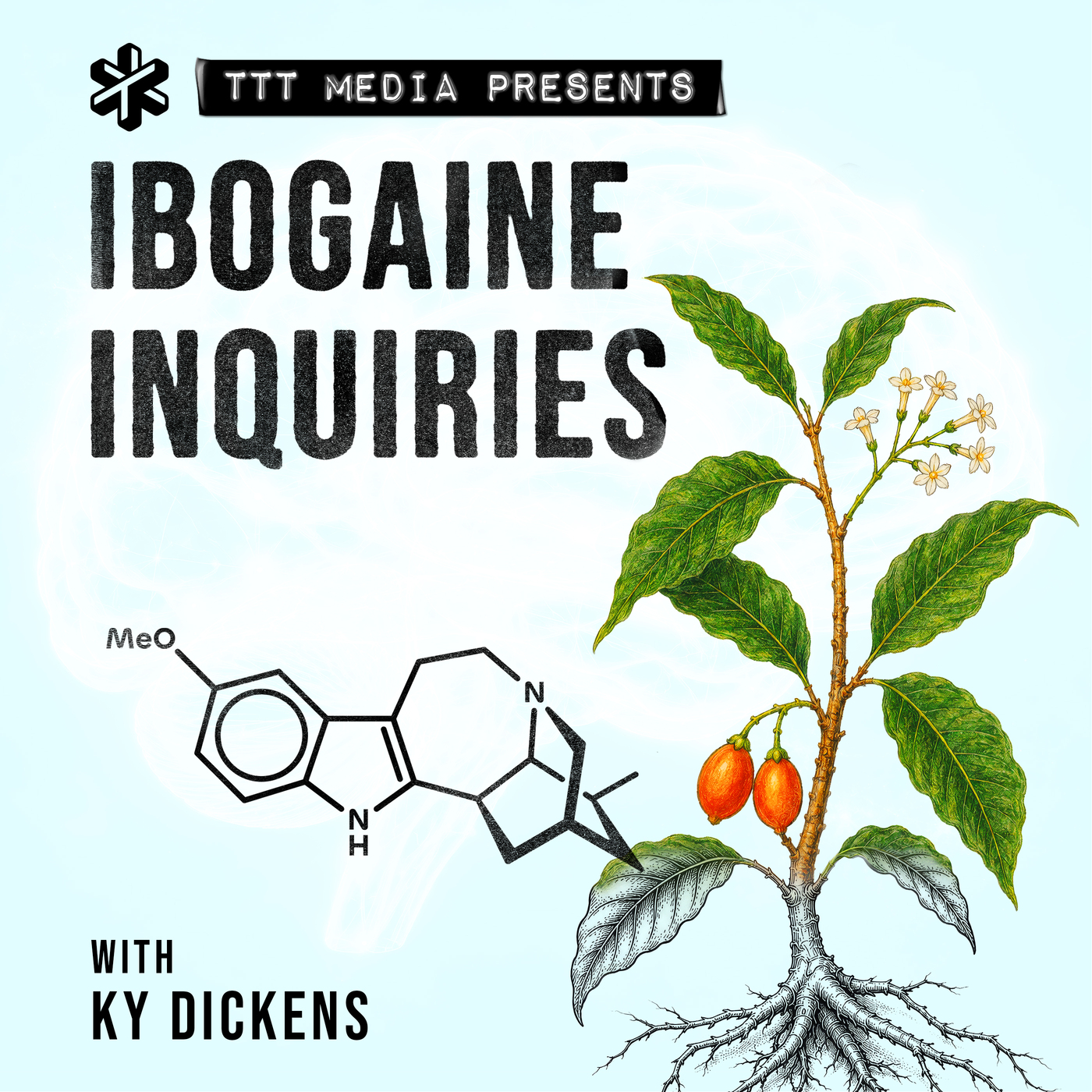S2E39: Ibogaine Inquiries Part I: Remember the Name episode artwork