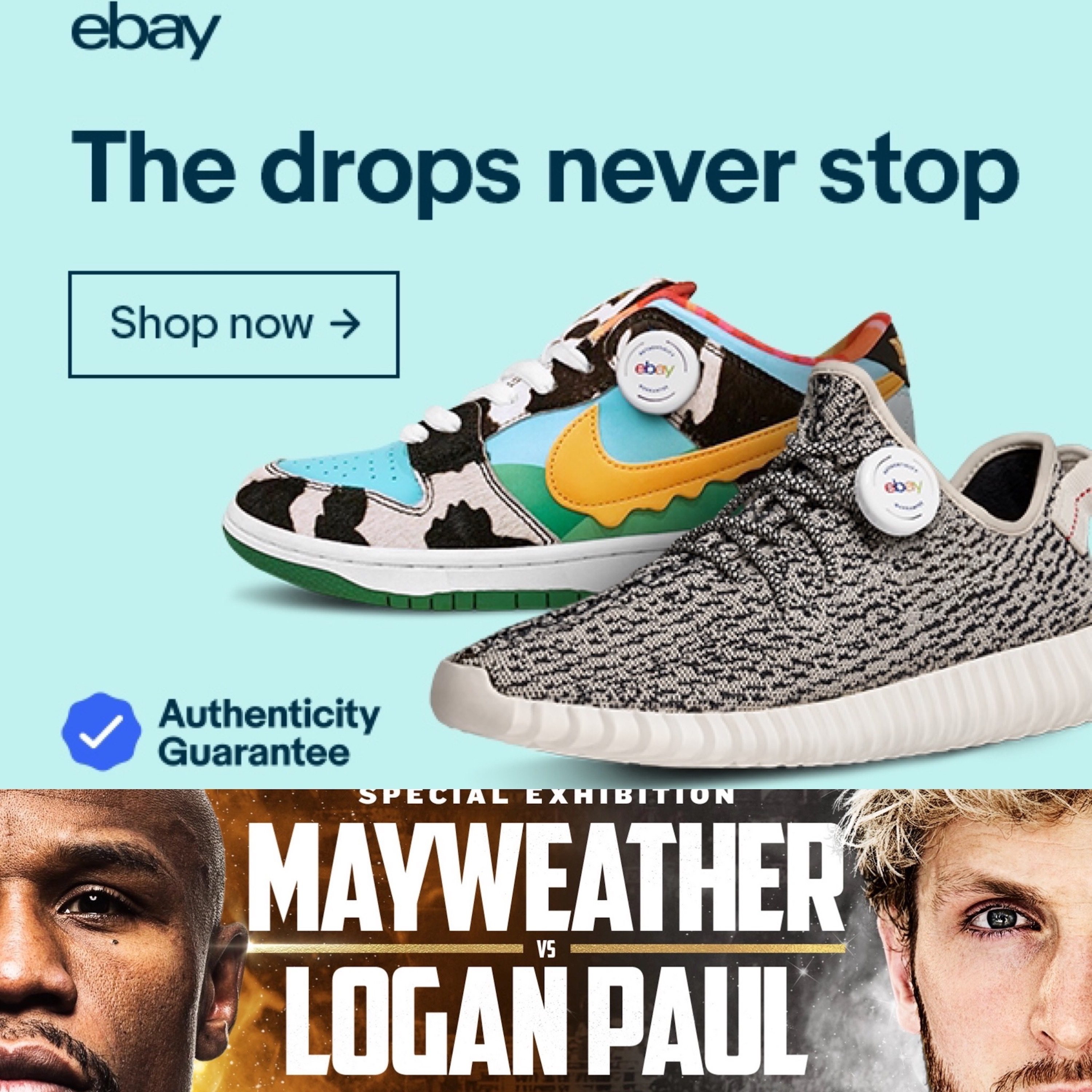 The Mayweather-Logan Paul SCAM Revealed