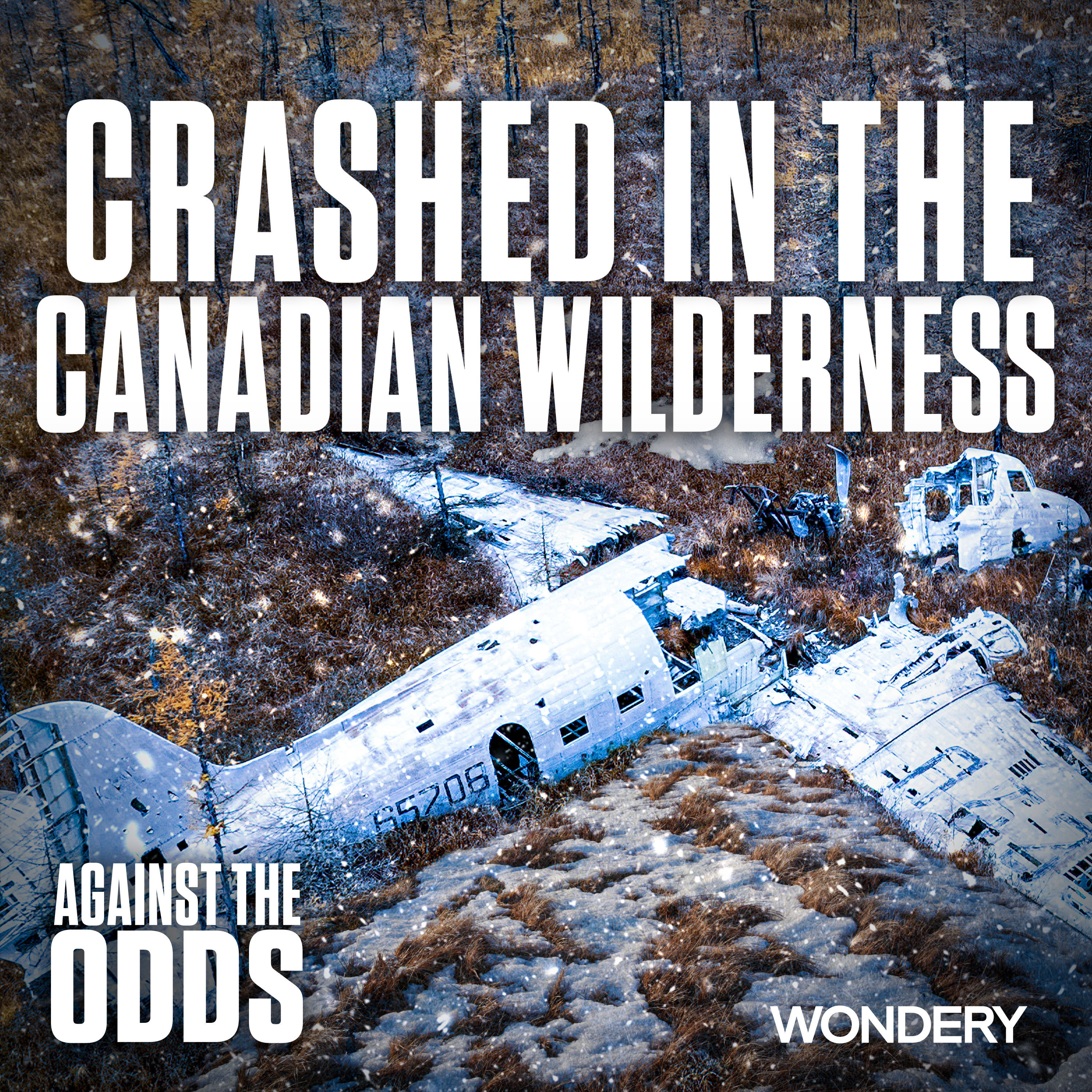 Crashed in the Canadian Wilderness | Ice | 1
