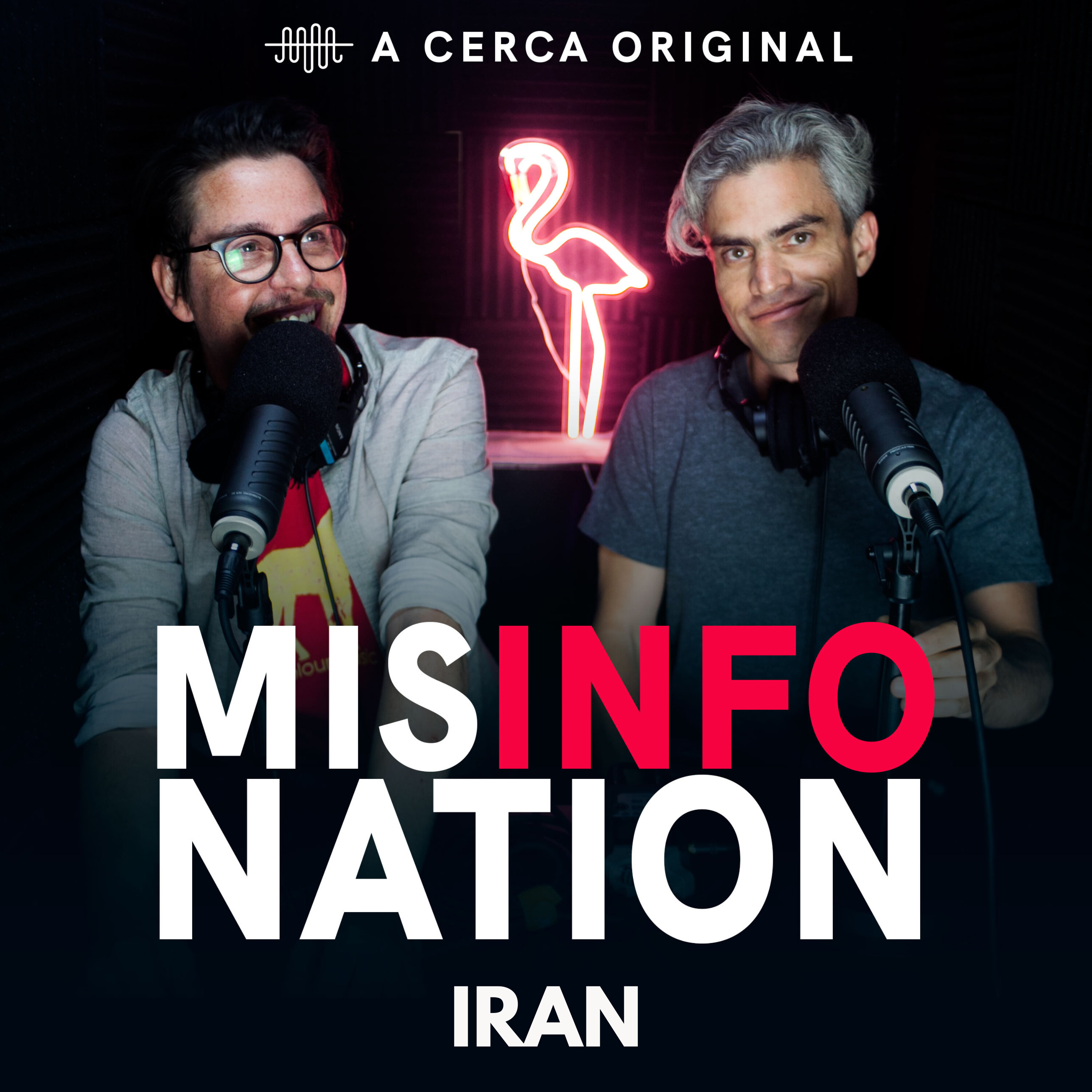 The Best of MisInfoNation: Iran – Down with America, Garlic Shampoo, and the Incredible Hulk