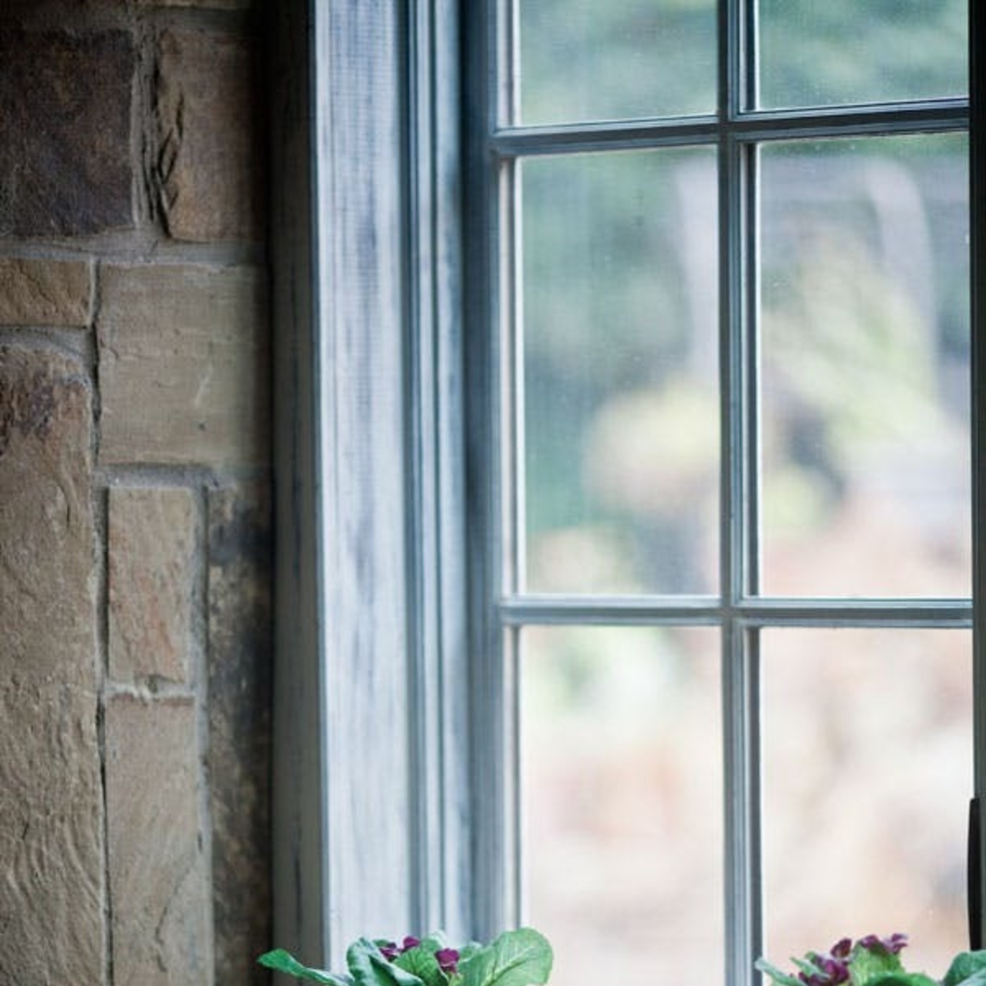 Your Decorating Questions Answered - dtt bonus