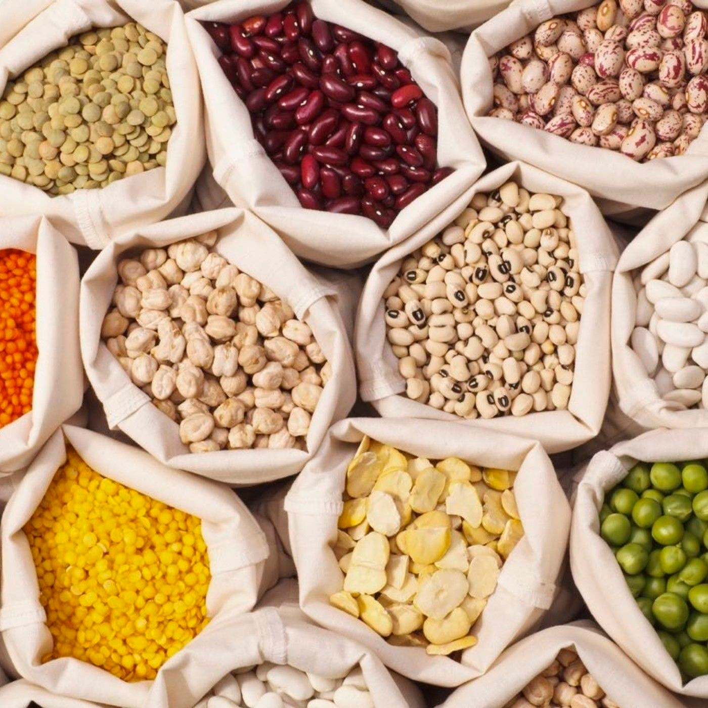 Episode 228: Long History of a Little Pea