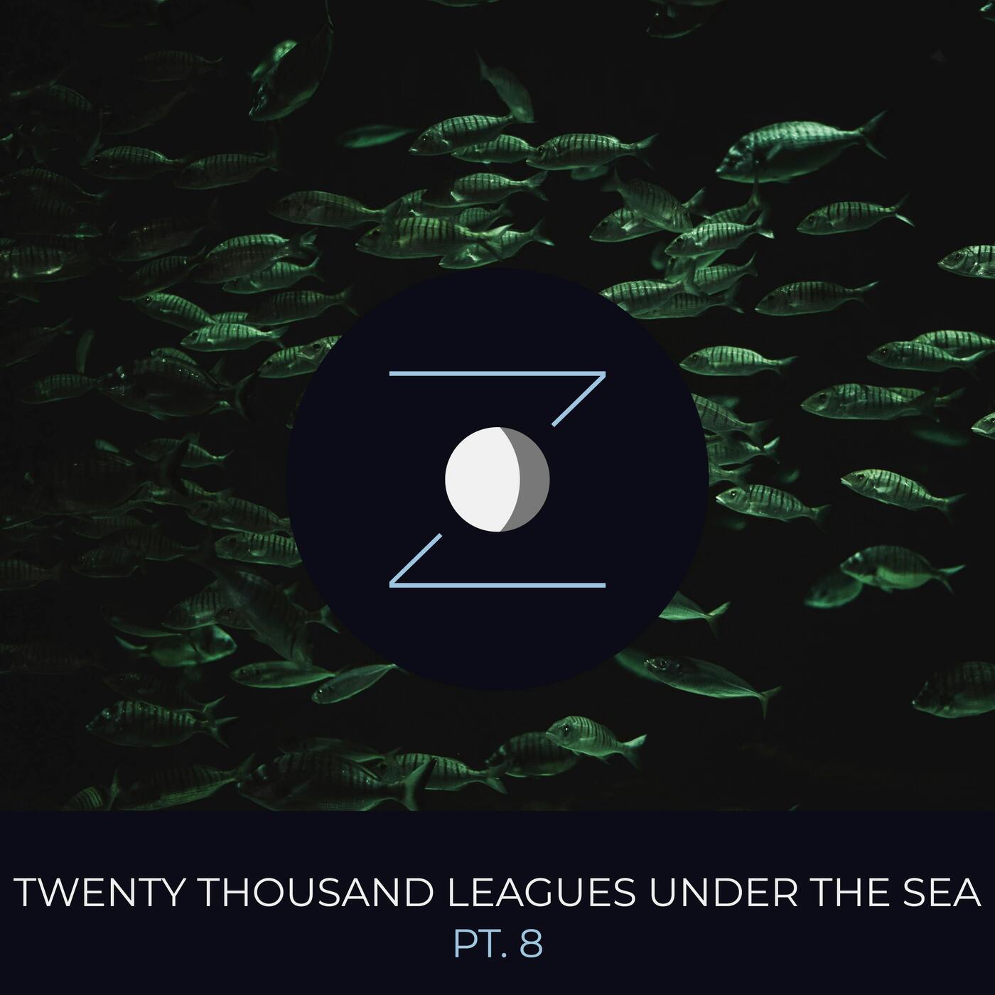 Twenty Thousand Leagues Under the Sea pt. 8 episode artwork