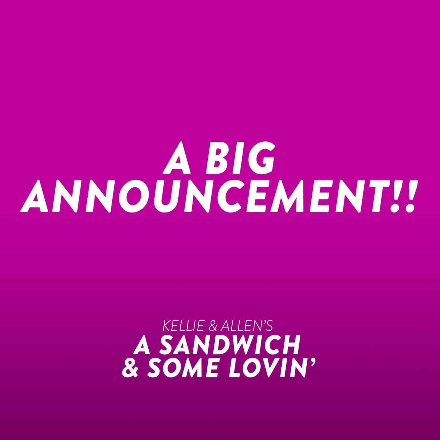 19: A Big Announcement!! (And no, she's not pregnant...) episode artwork