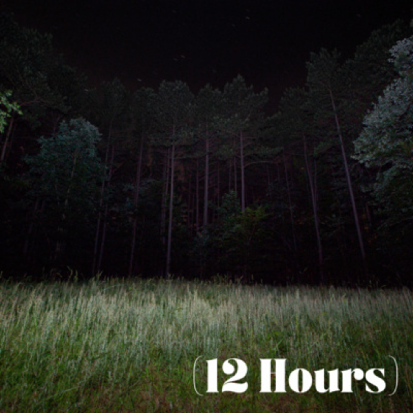 Crickets in the Night | Sleep Sound (12 Hours)