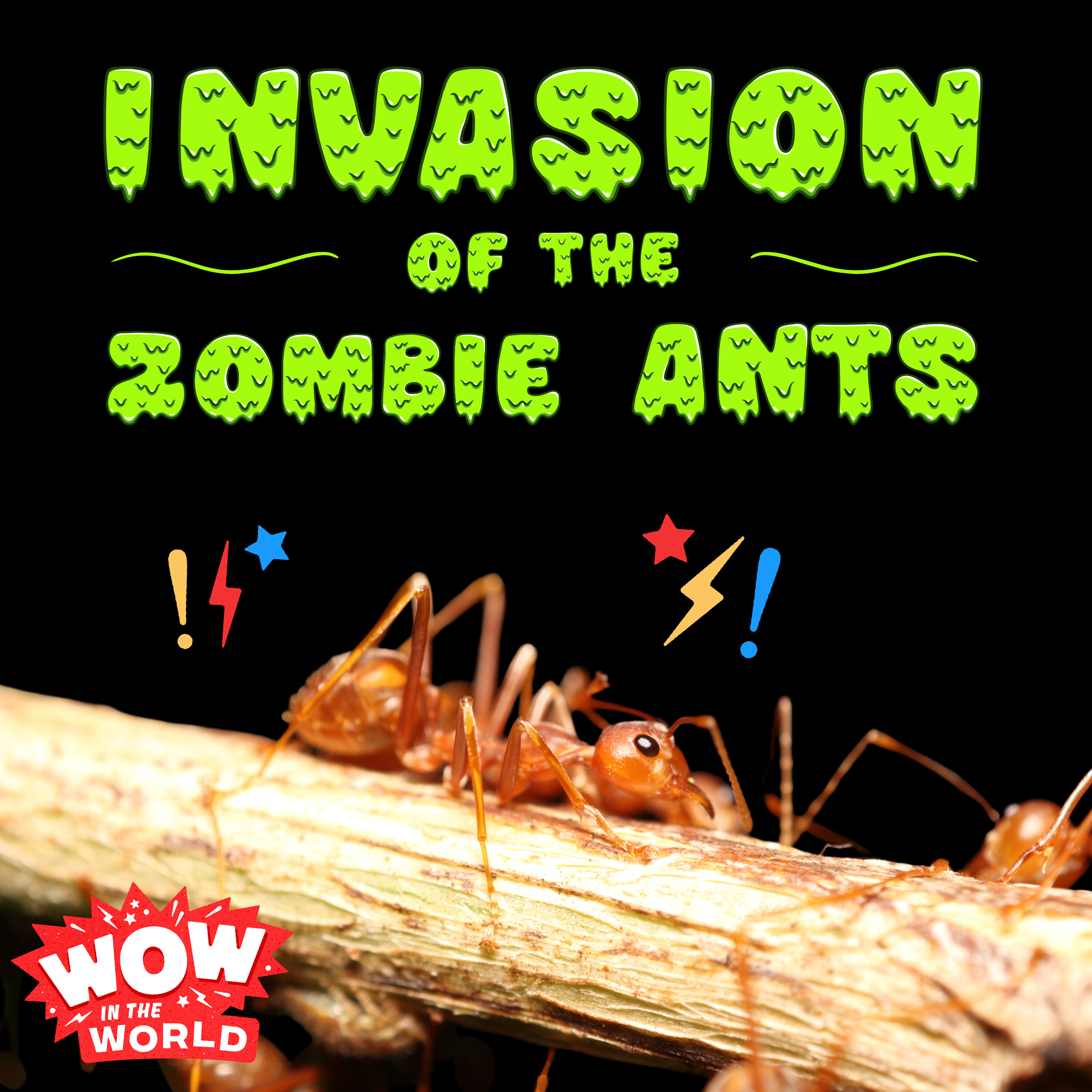 Invasion of the Zombie Ants (1/22/24)