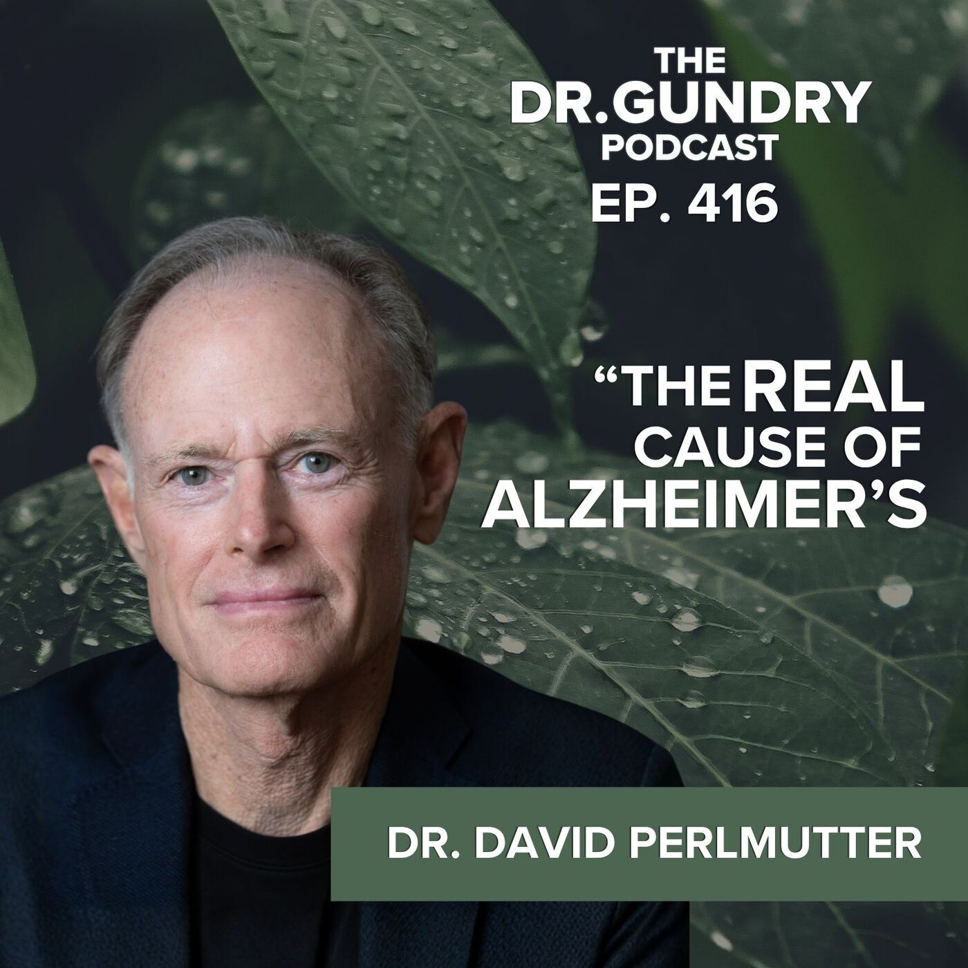 The Alzheimer's Drugs Don't Work — Here's What Does (featuring Dr. David Perlmutter) | EP 416