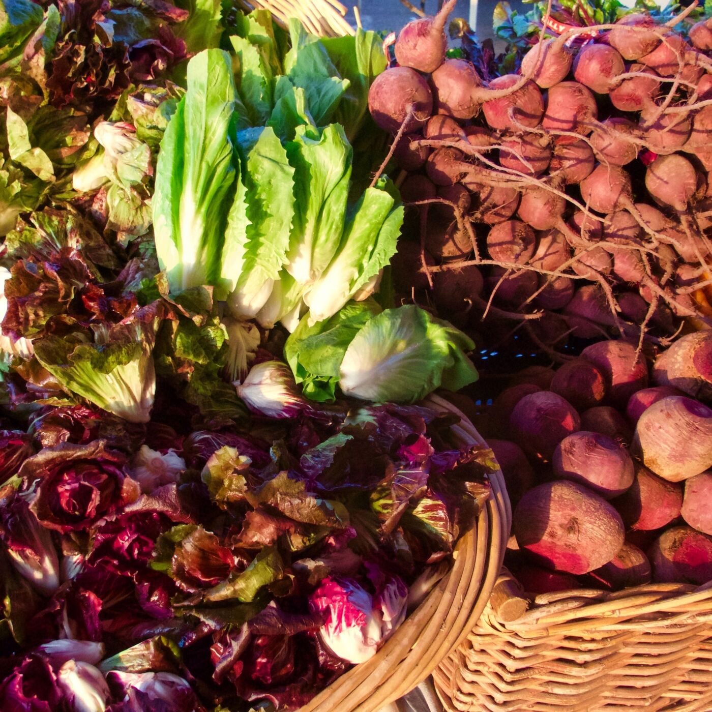 Sustainability Roundtable with Galley Solutions & Apeel Sciences